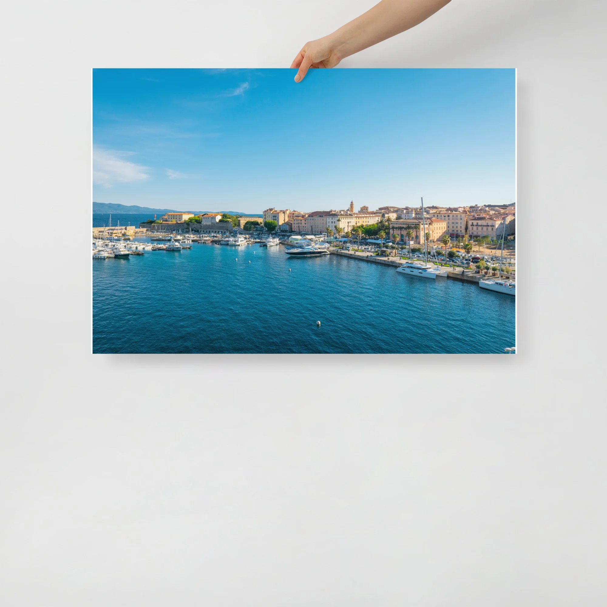 enhanced-matte-paper-poster-(in)-24x36-front-68ab0ab253b74.jpg