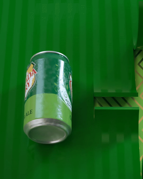 Canada Dry Sipnosis – Paid Social