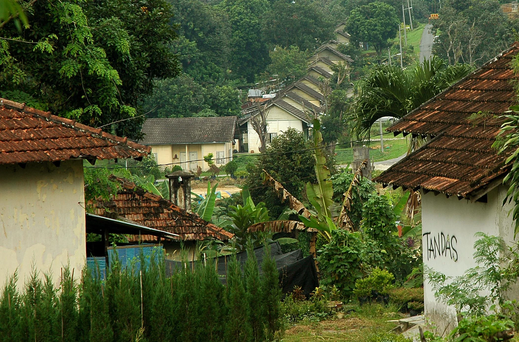 The chalets in Valley of Hope were planned in clusters so virtually it formed a settlement of a village concept. (photo by Dr Lim Yong Long)