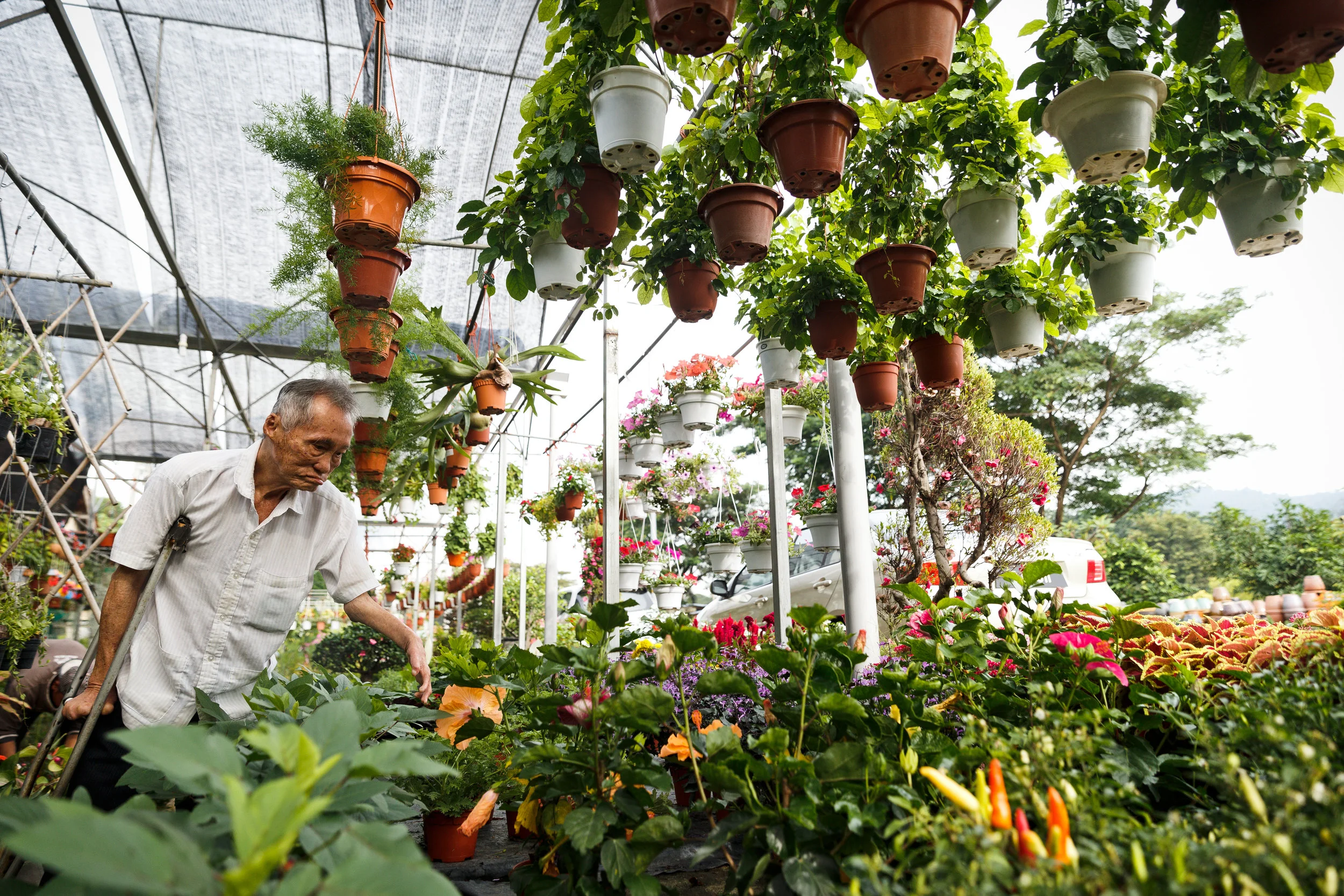 Header Image of Our Hereos.JPG