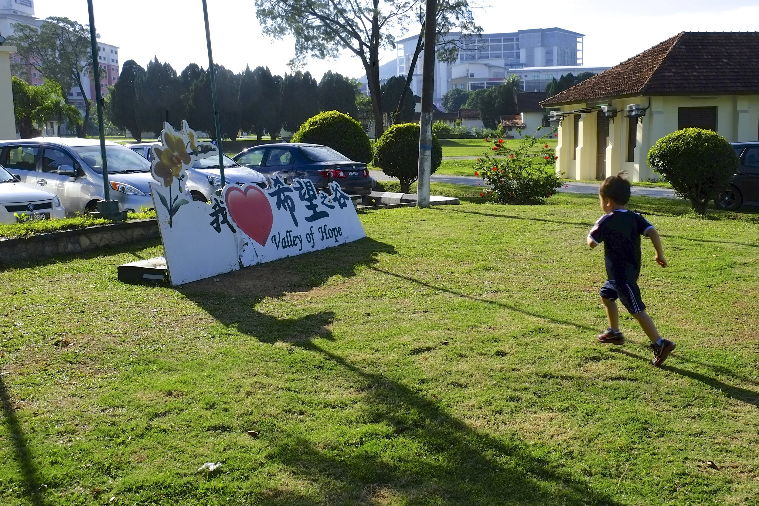 Header Image of Take Action.jpg