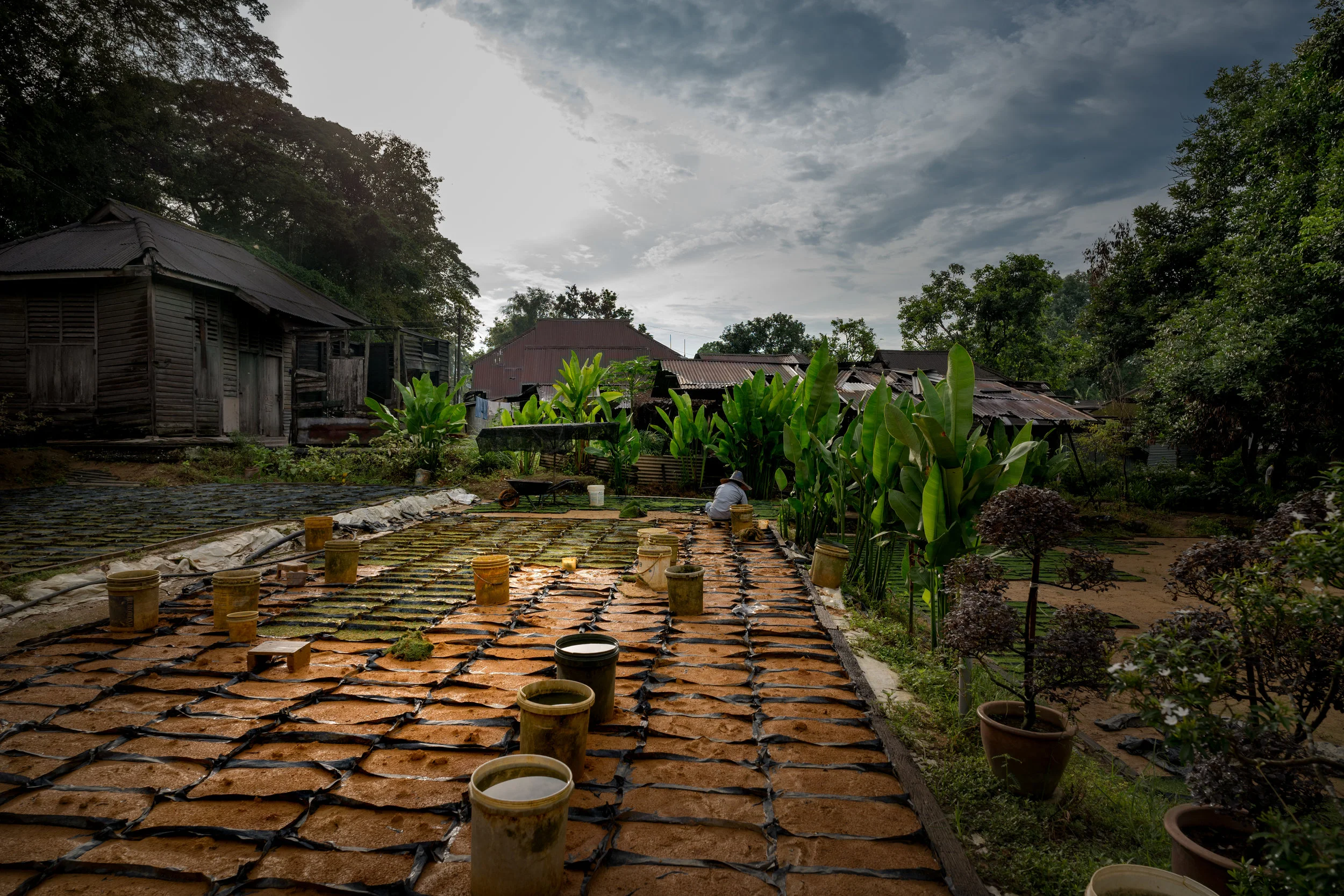 Header Image of our Projects Redo.jpg