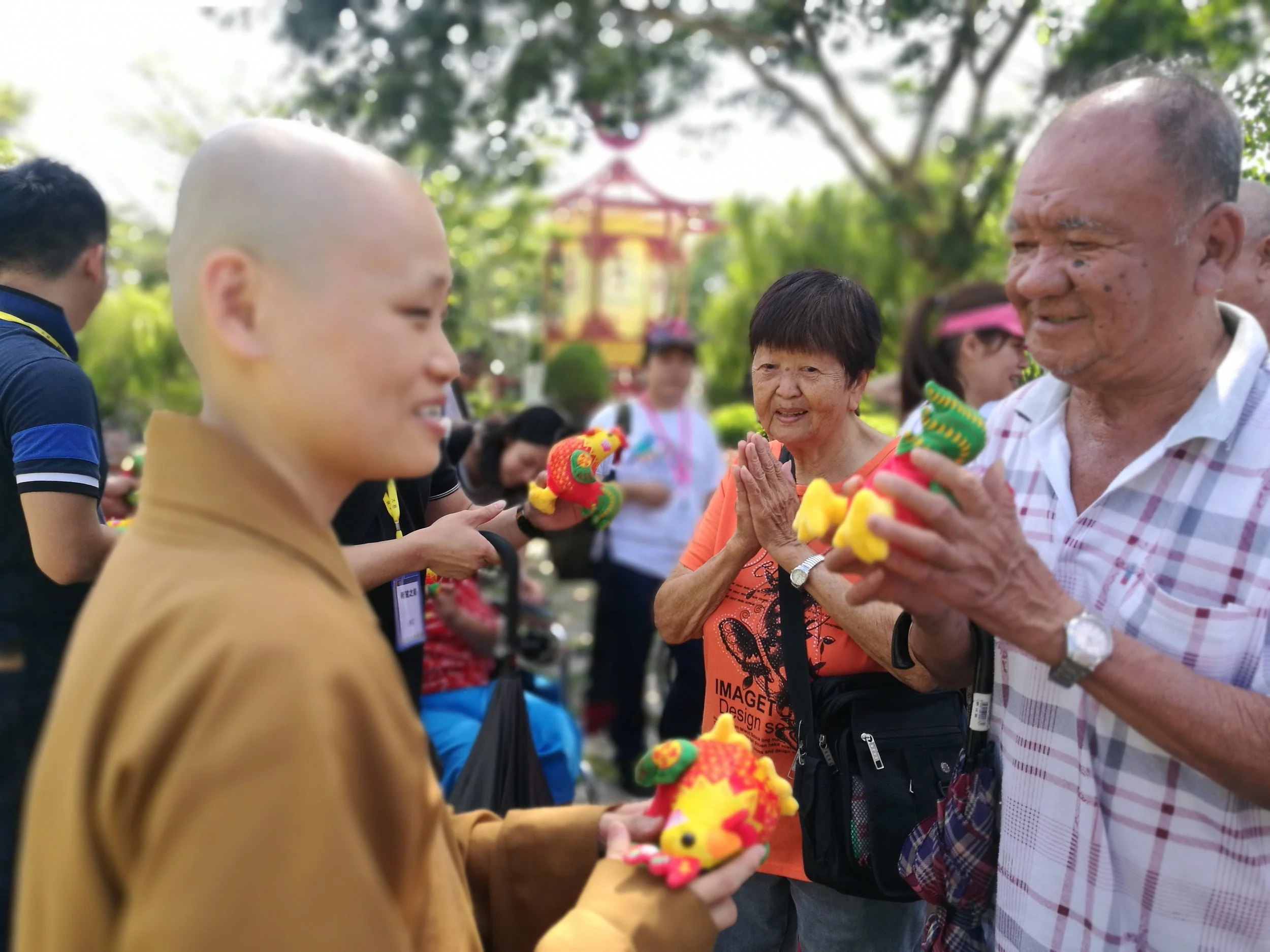 美金摄