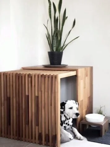 evcil-hayvan-ev-dekorasyonu-yuva