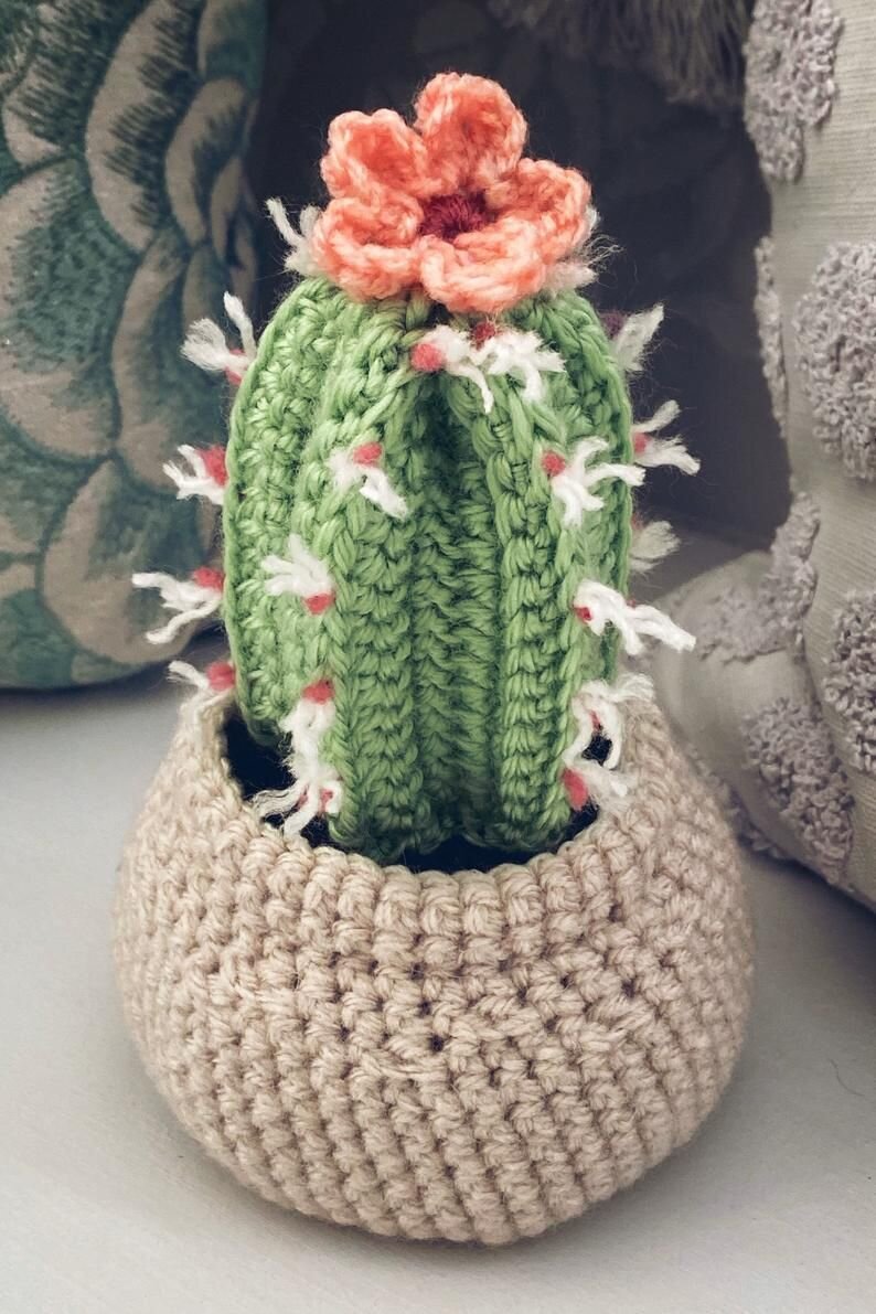 orgu-dekoratif-kaktus