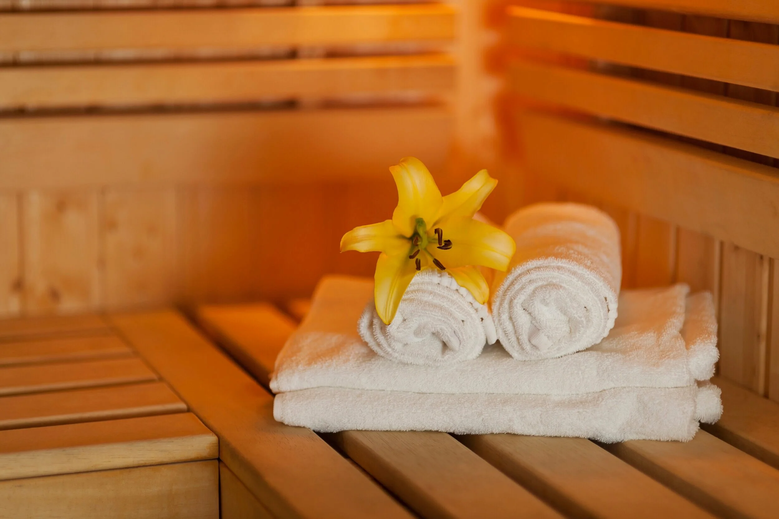 Ev Tipi Sauna Nasıl Kurulur?