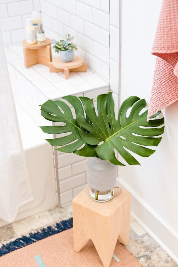 monstera-banyoda-yetişecek-bitkiler