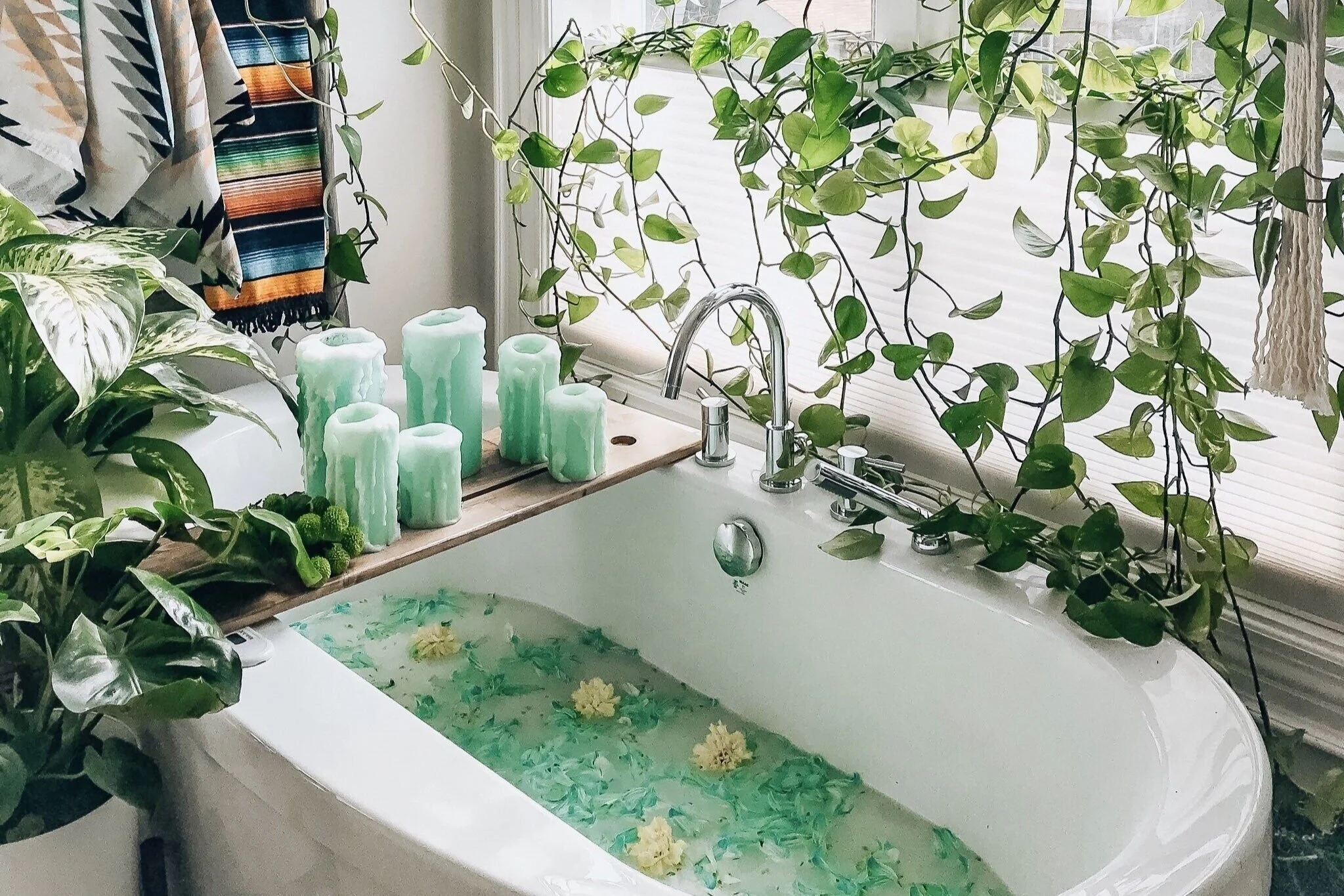 Banyoda Yetiştirmeye Uygun 7 Bitki