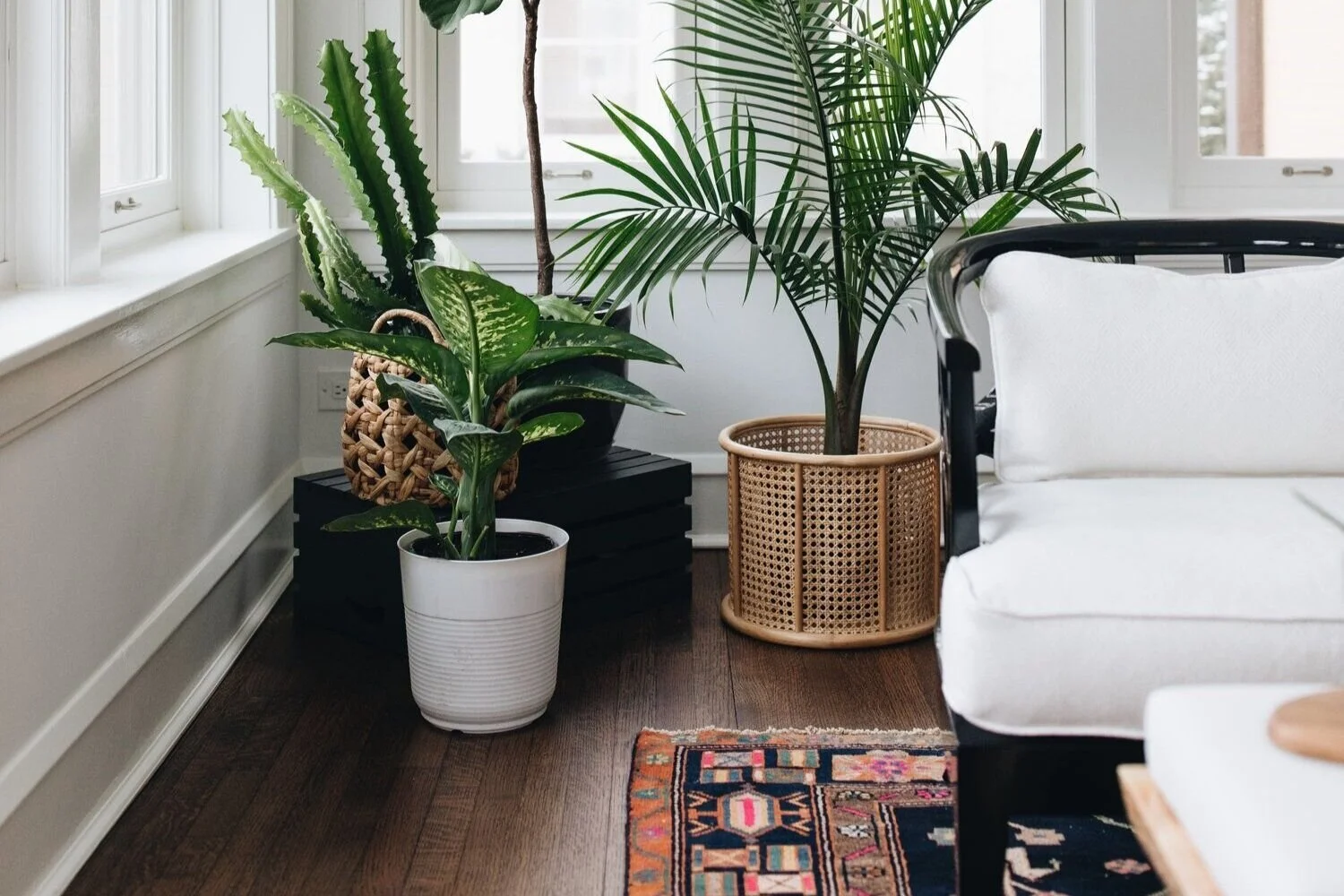 Evde Hazırlayabileceğiniz Doğal Bitki Besinleri