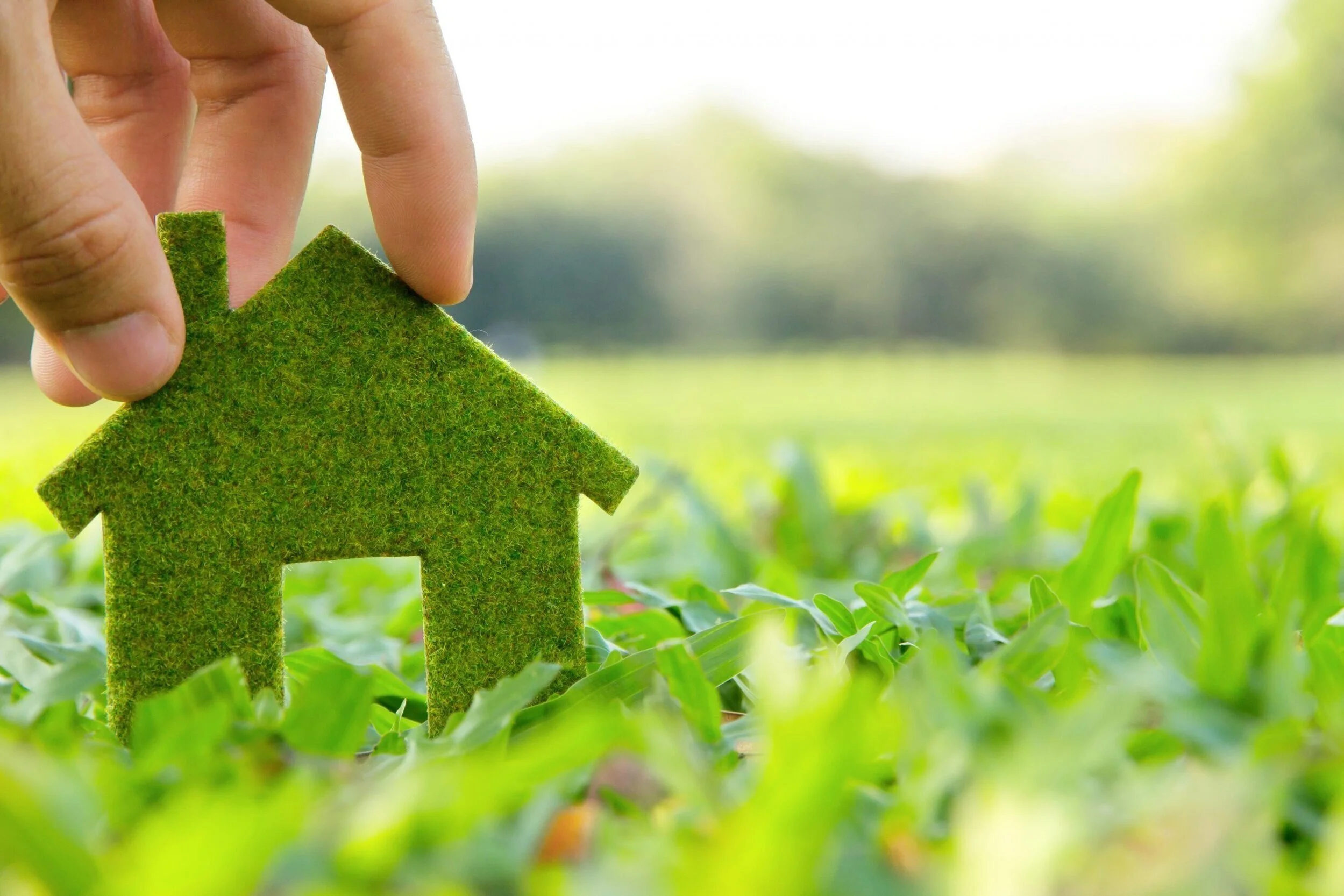 Çevre Dostu (Eco-Friendly) Ev Nasıl Yaratılır?