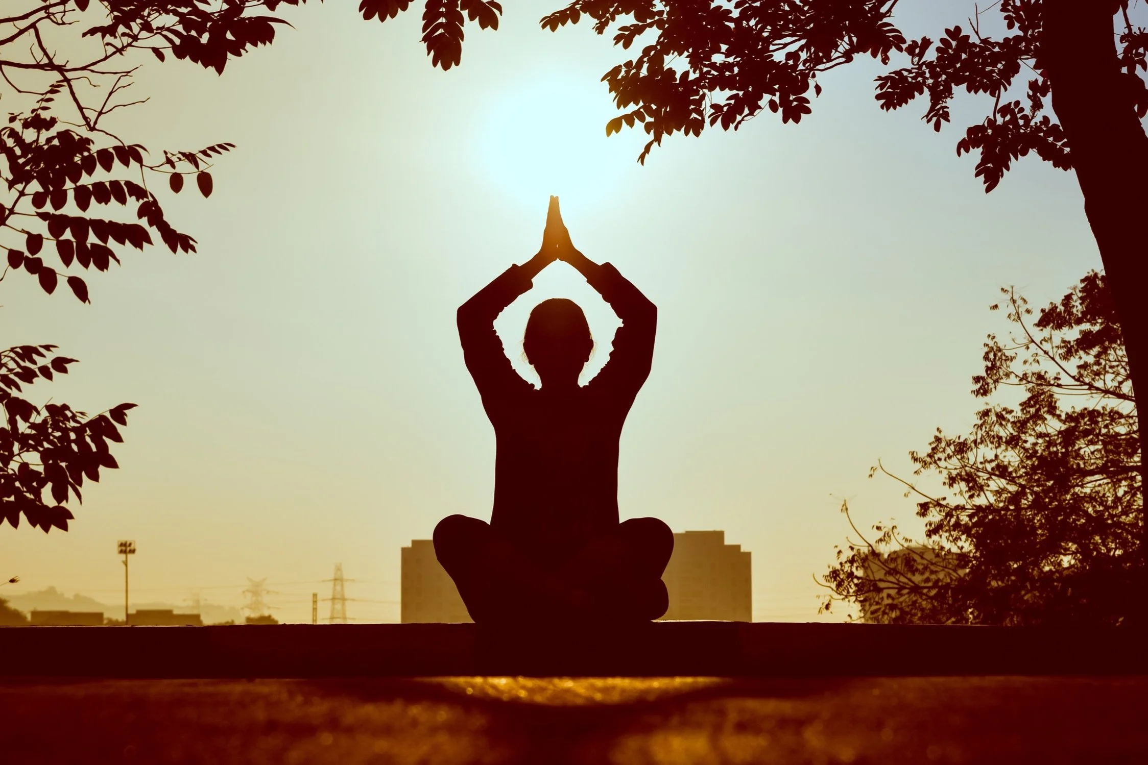 Yoga Hakkında Bilmen Gereken Her Şey