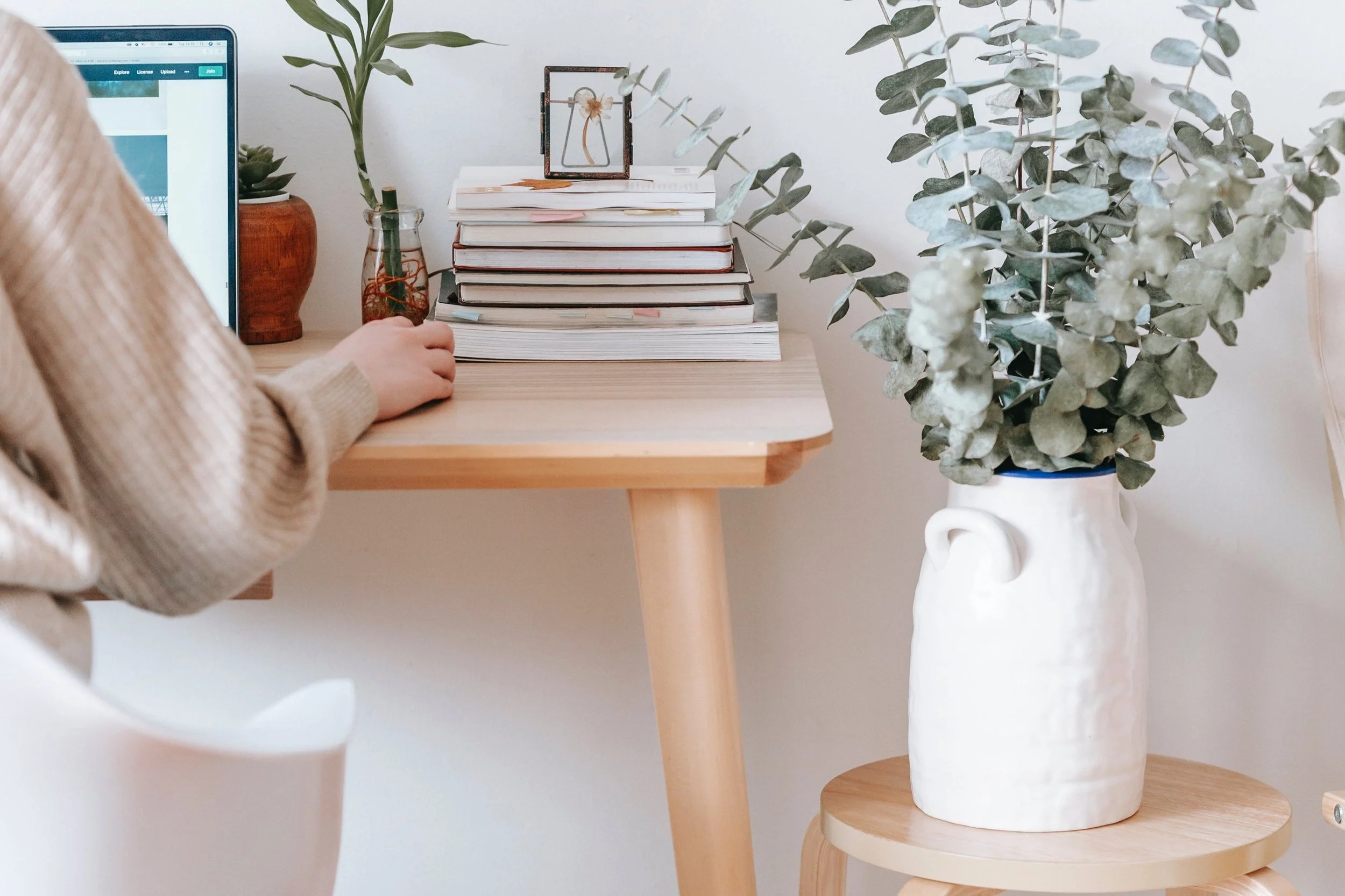 Feng-Shui'ye Göre Evimizde Bulunması Gereken 10 Bitki