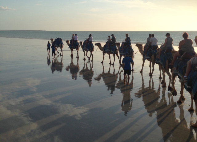 Sunset camel ride at Cable Beach