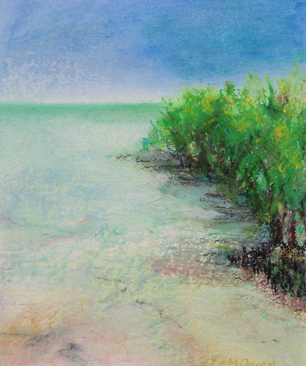 Mangroves at Roebuck Bay