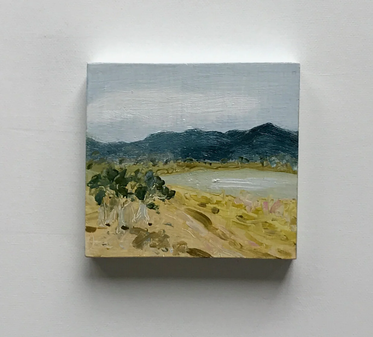 A Picnic Spot Near Macedon