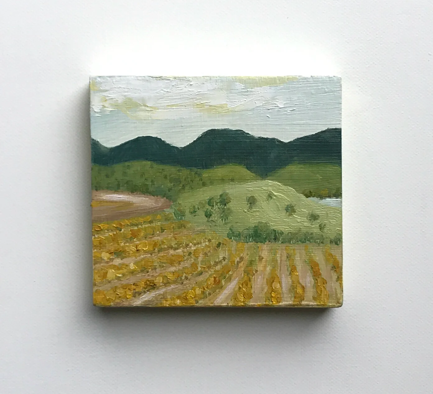 A Day in the Vines, Yarra Valley