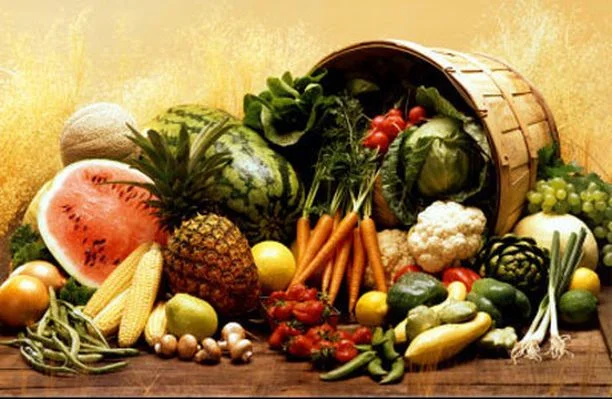 Top 7 Superfoods to add to your everyday diet 