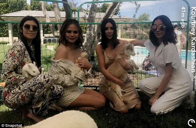pettingzoo.jpg