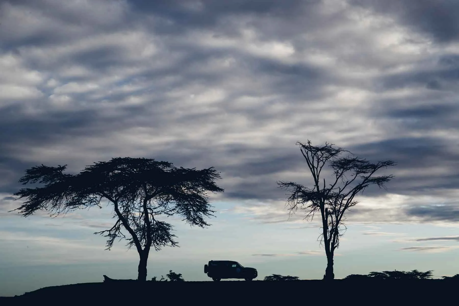 LR_DEF_TUSK_KENYA_040619_22_tusk.jpg