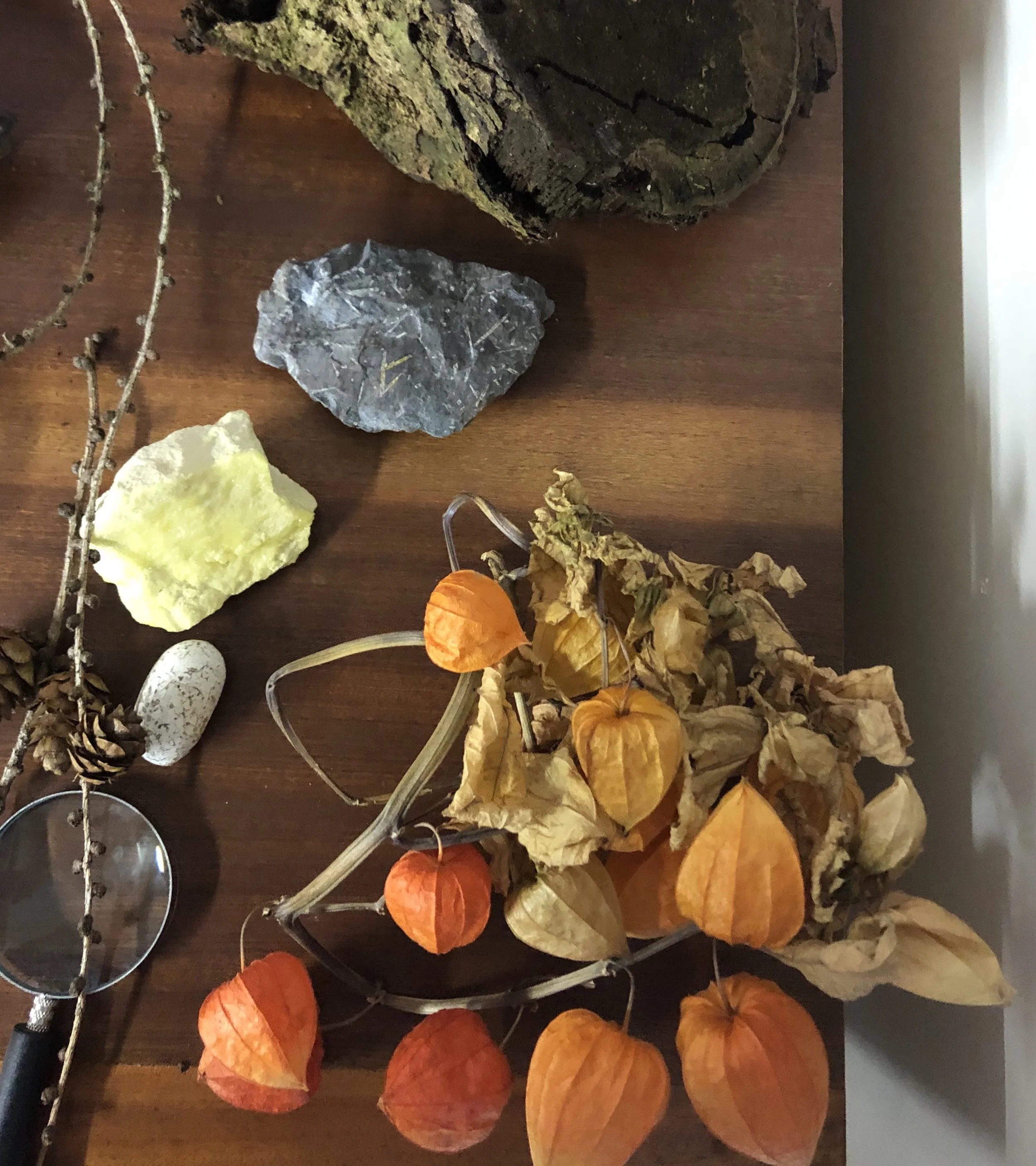 Nature Table.jpg