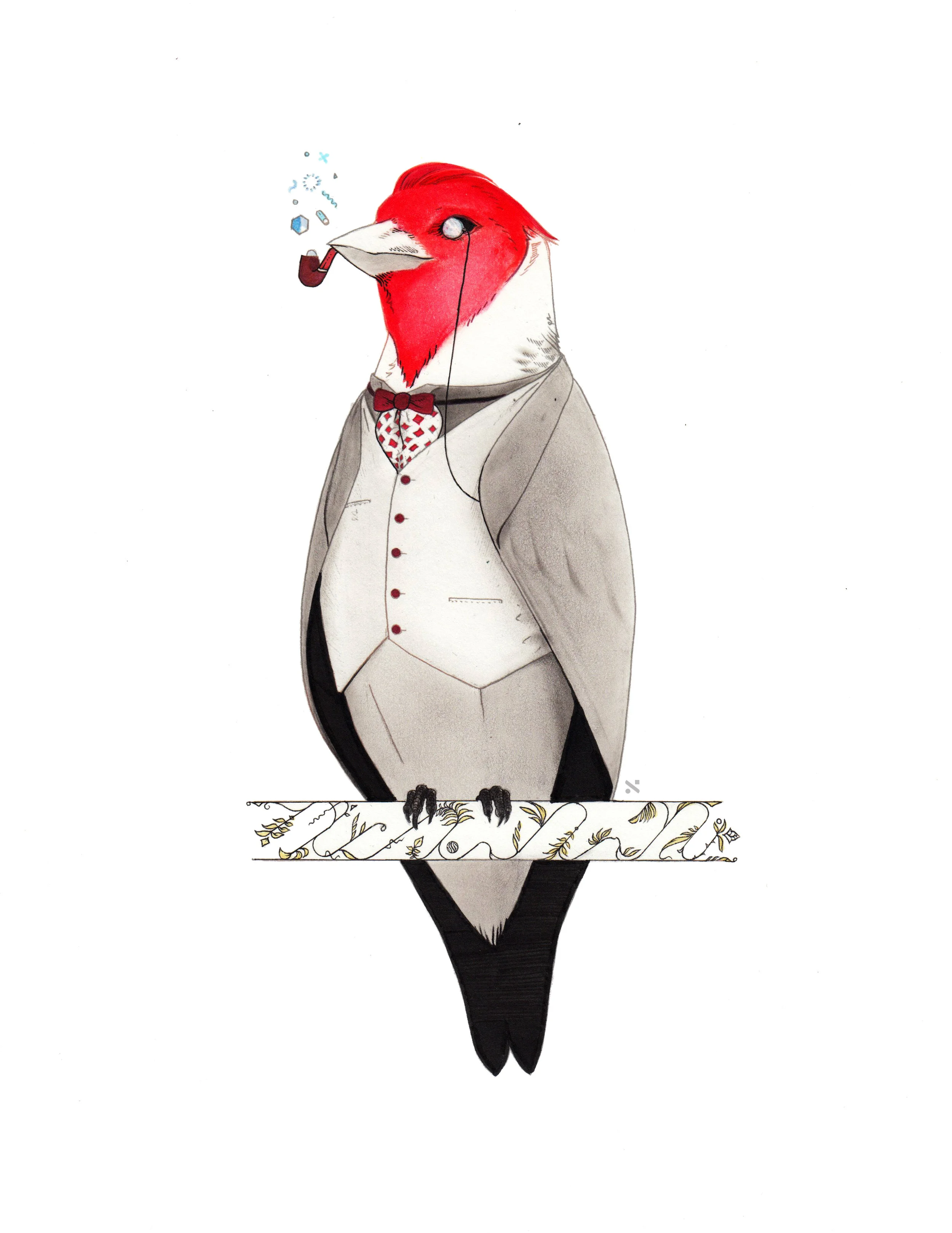 Cardinal Dandy