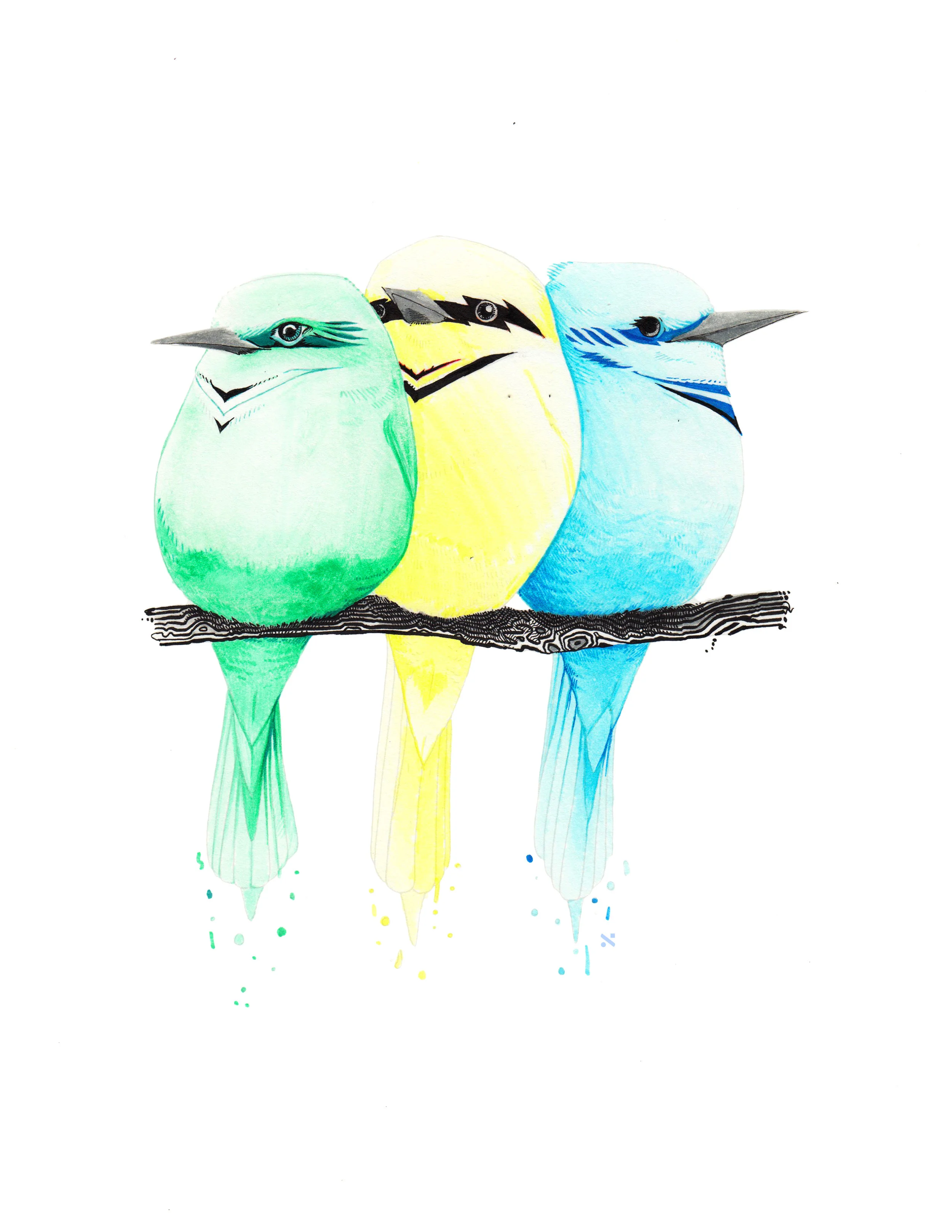 European Bee-Eater