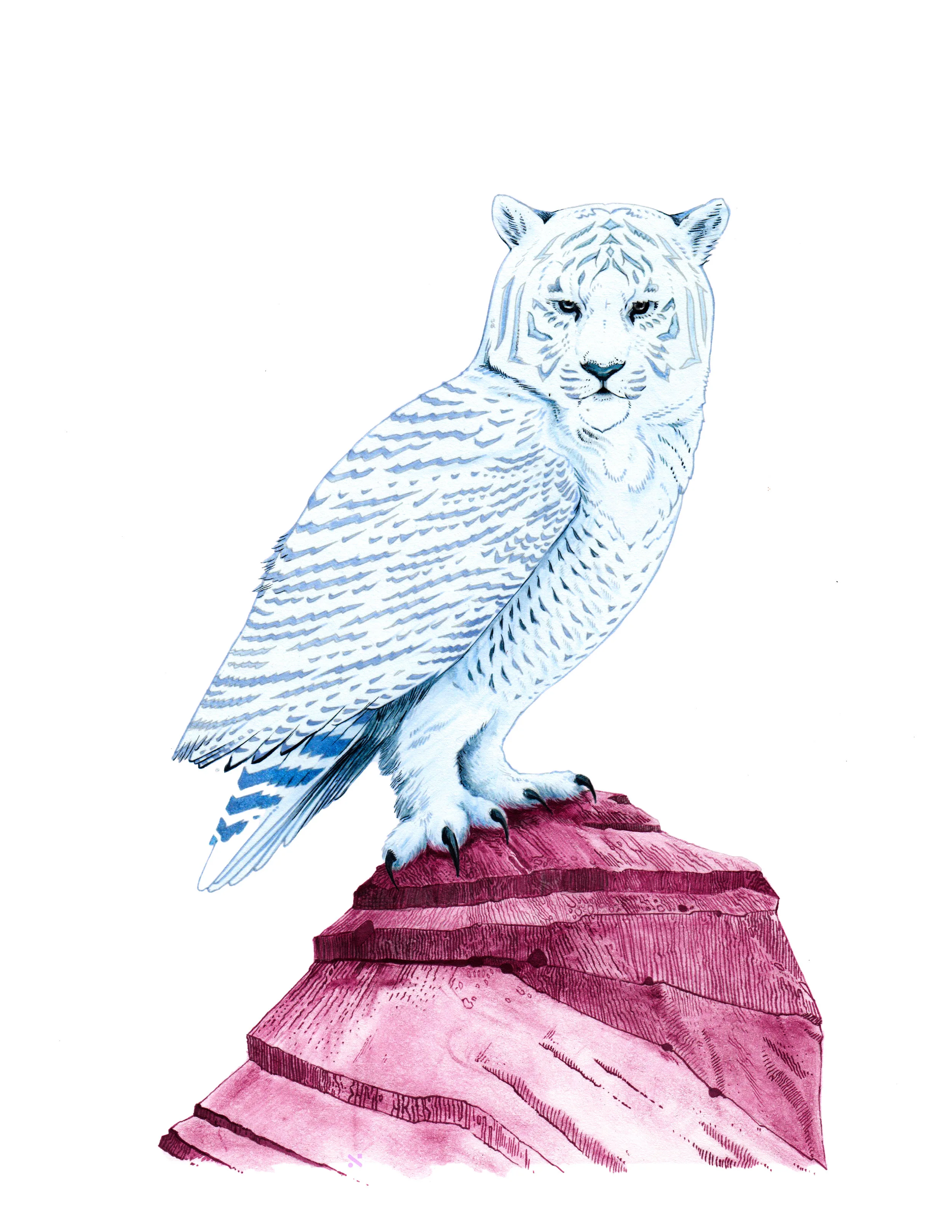 Snowy Towl