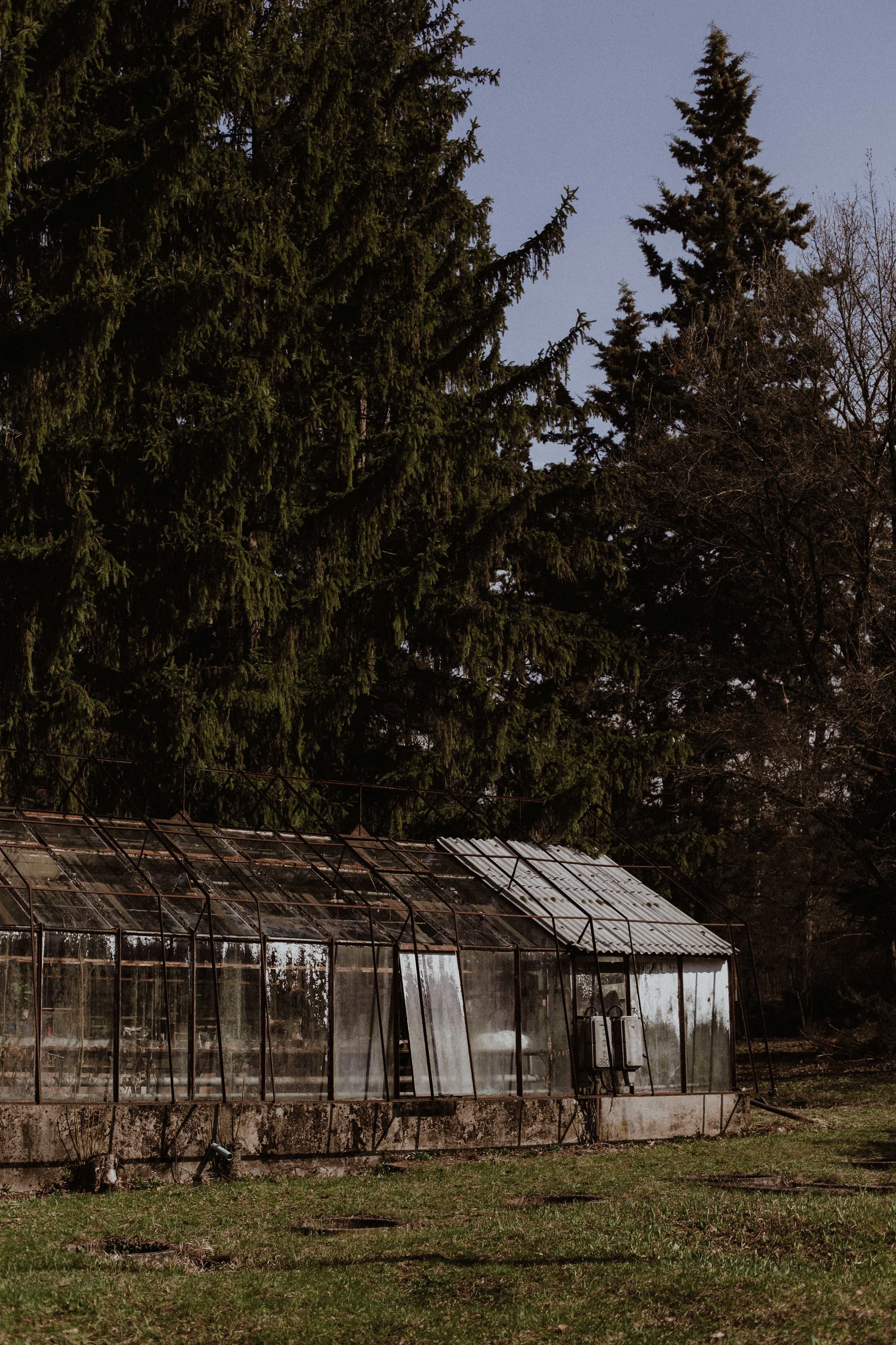 20170321_greenhouse_stsh_w_004__MG_5924.jpg