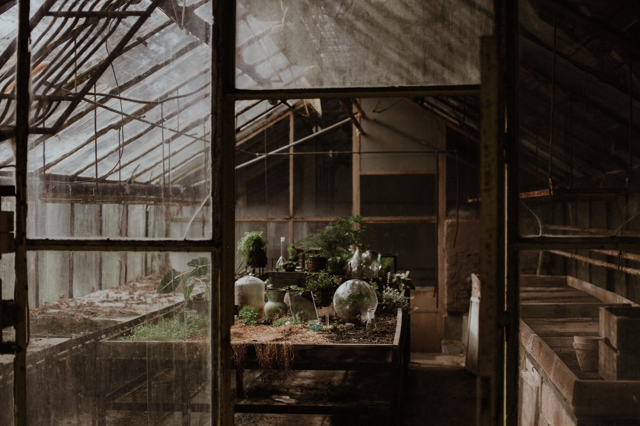 20170321_greenhouse_stsh_w_018__MG_6456.jpg