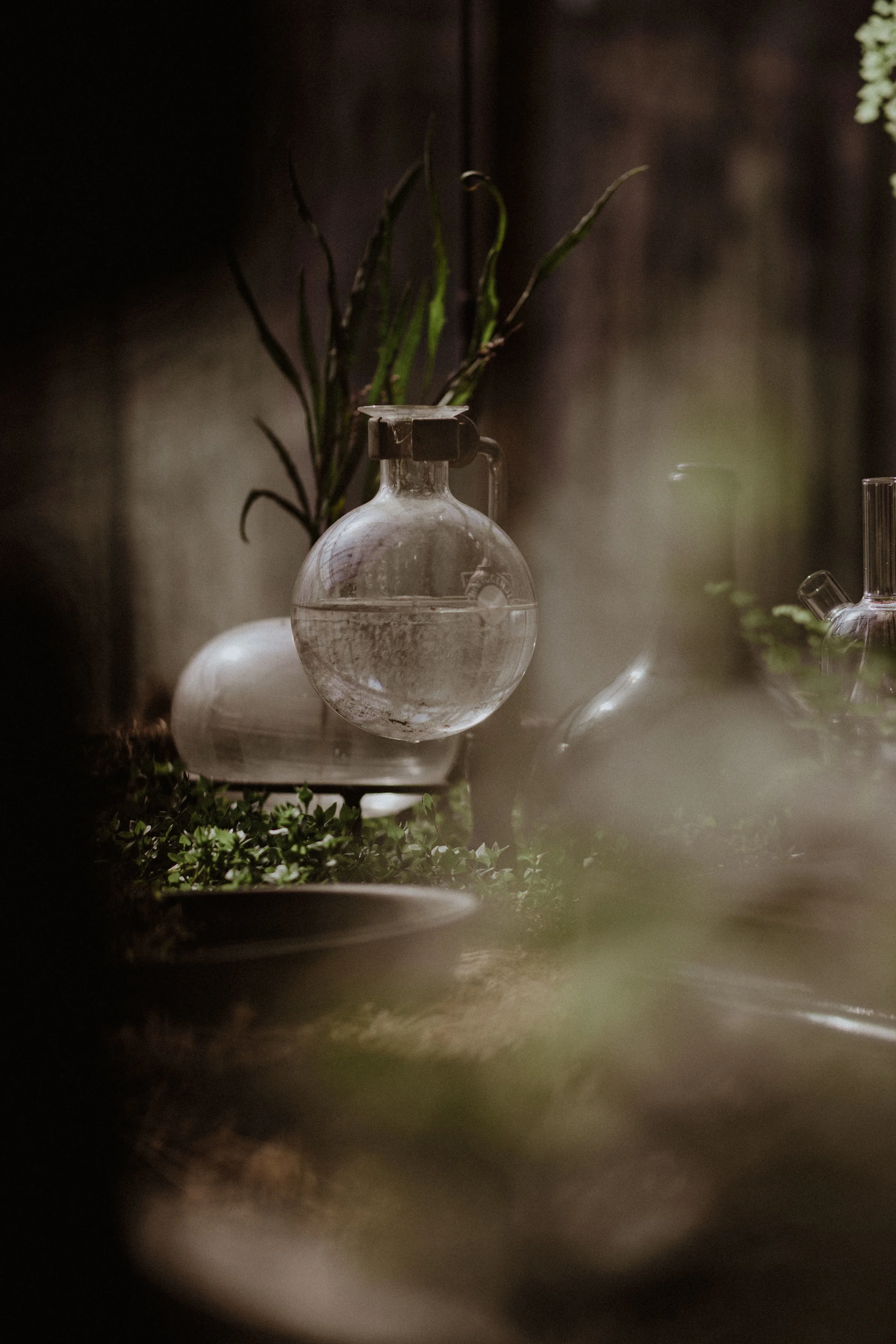 20170321_greenhouse_stsh_w_033__MG_5996.jpg