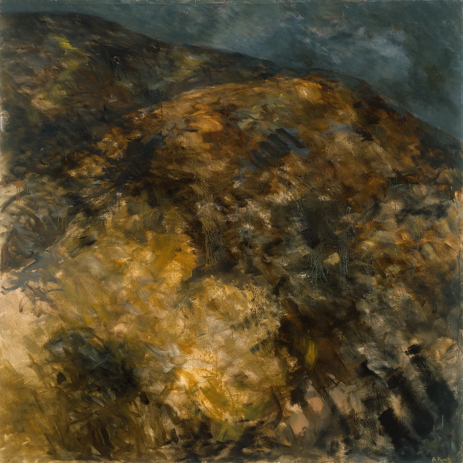   Cape Dune, Night , 24 x 24” 