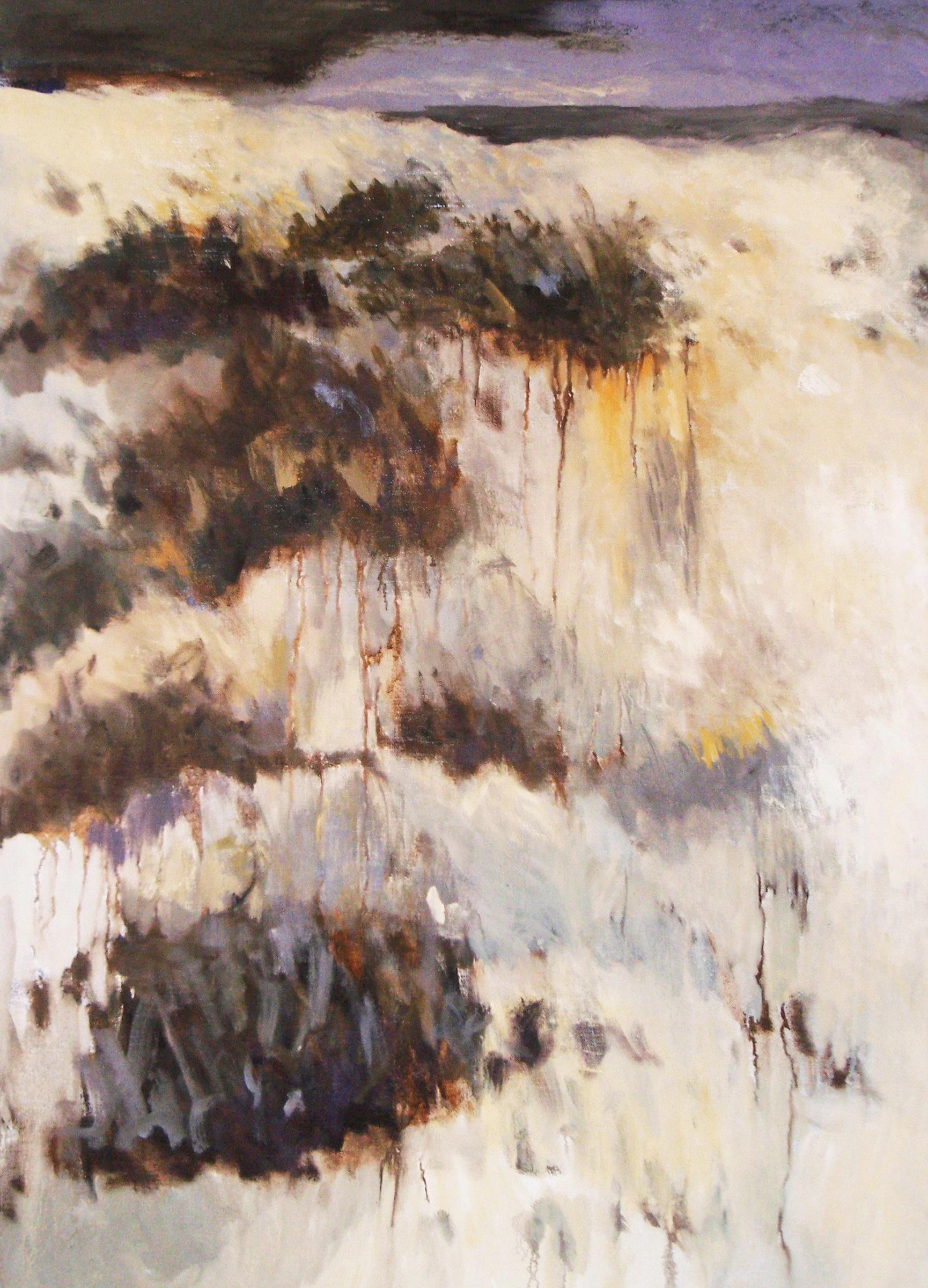   Truro Dune #11 , 2012, 36 x 44” 