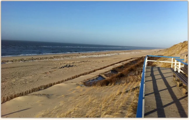 sylt.jpg