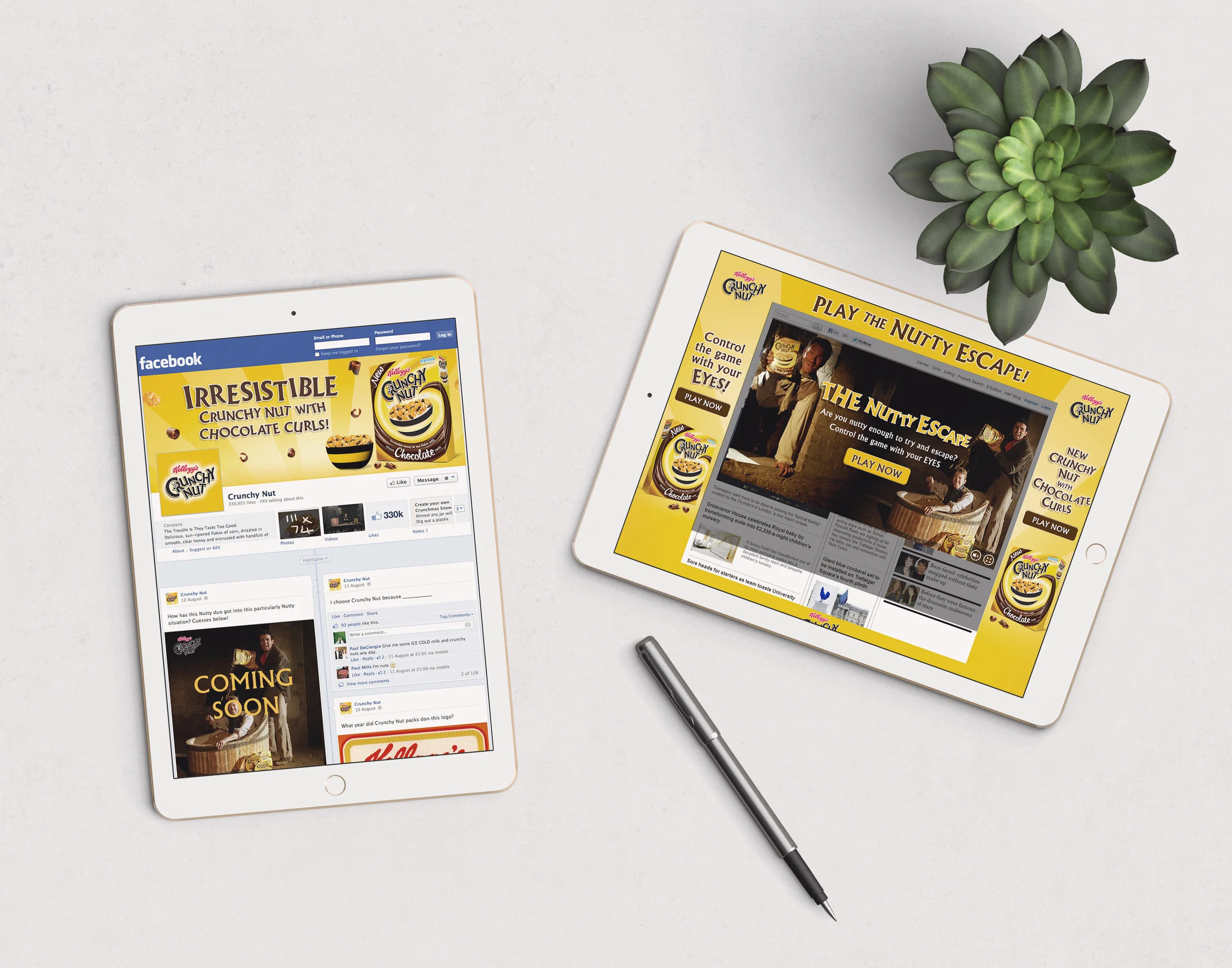 Kellogg S Crunchy Nut Game Sabina Begum Creative Director