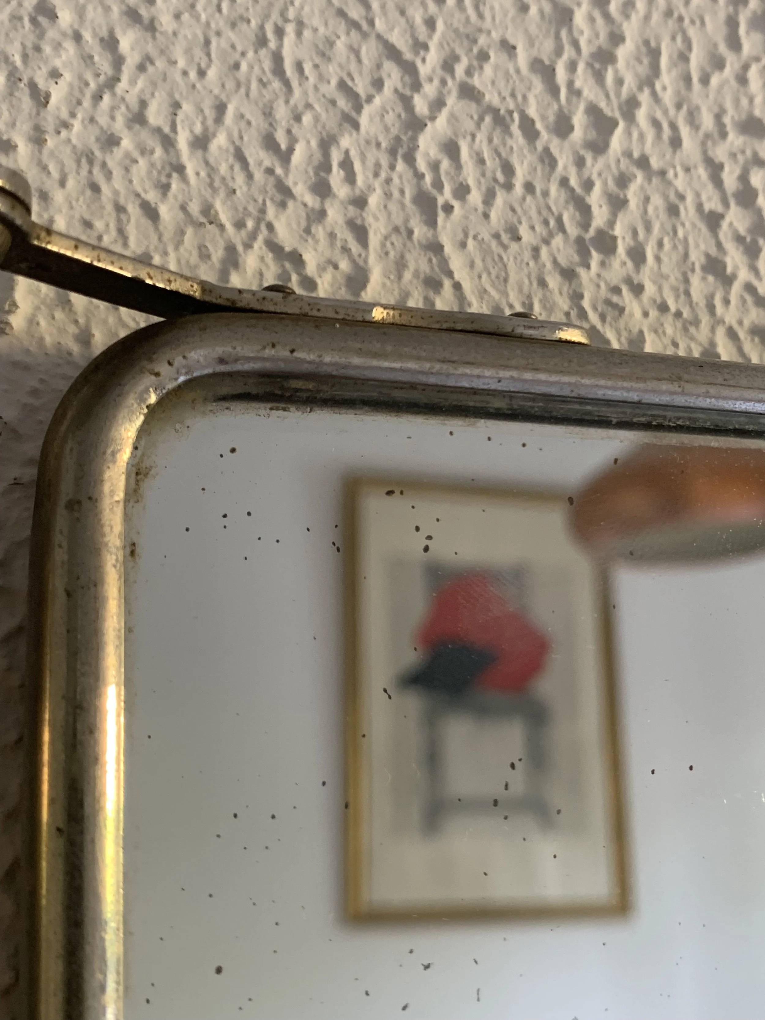 IMG_1504.jpeg