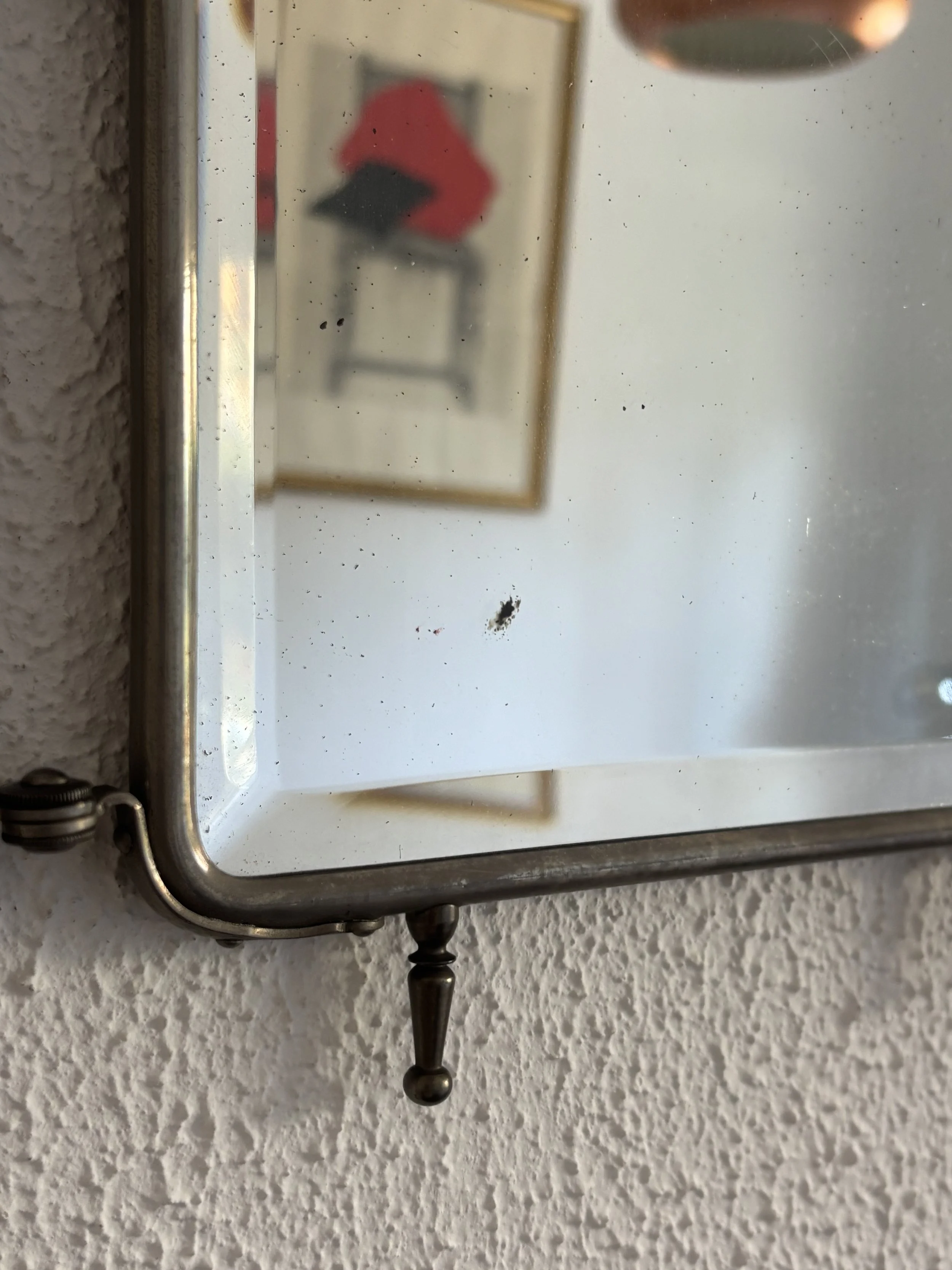 IMG_6533.jpeg