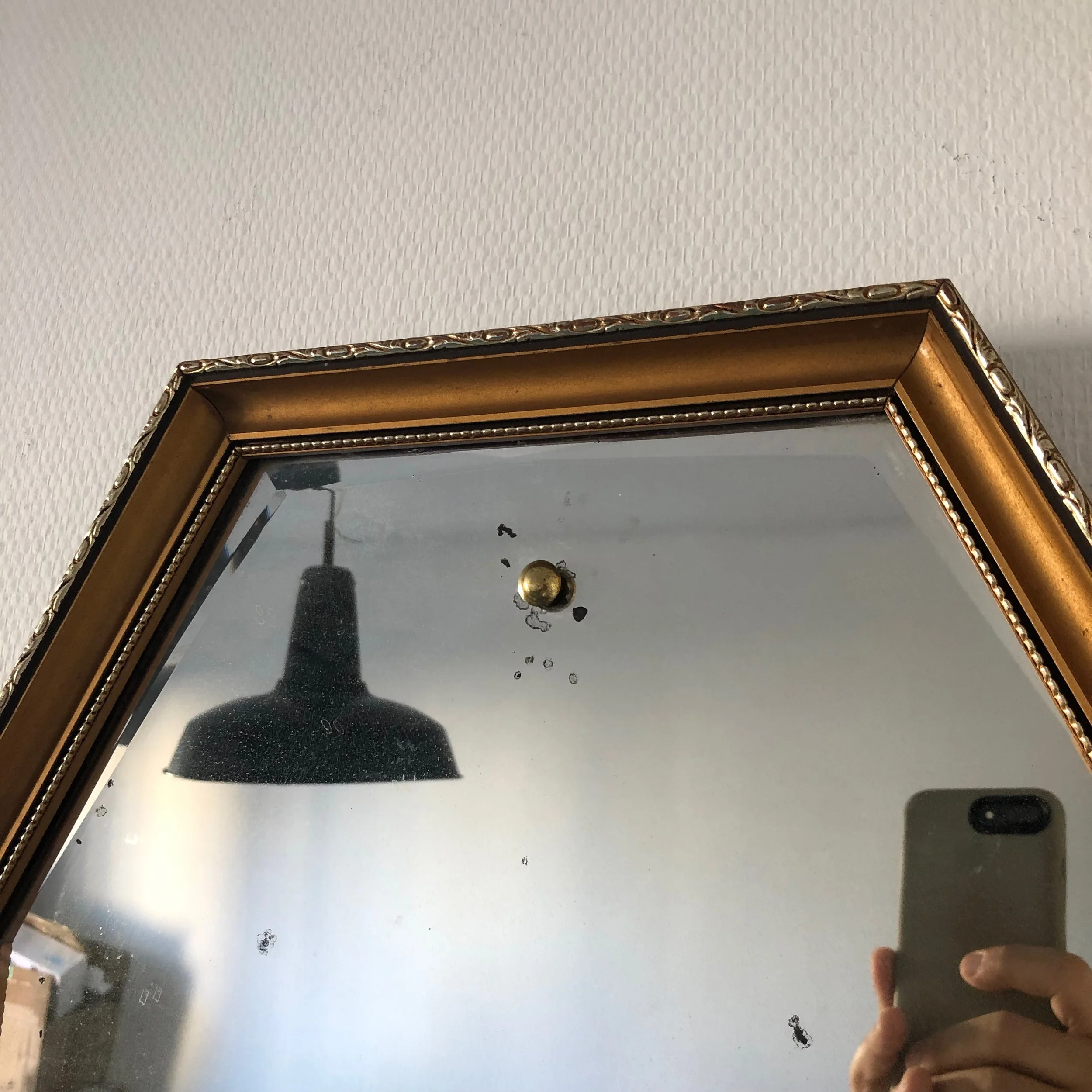 IMG_3113.jpeg