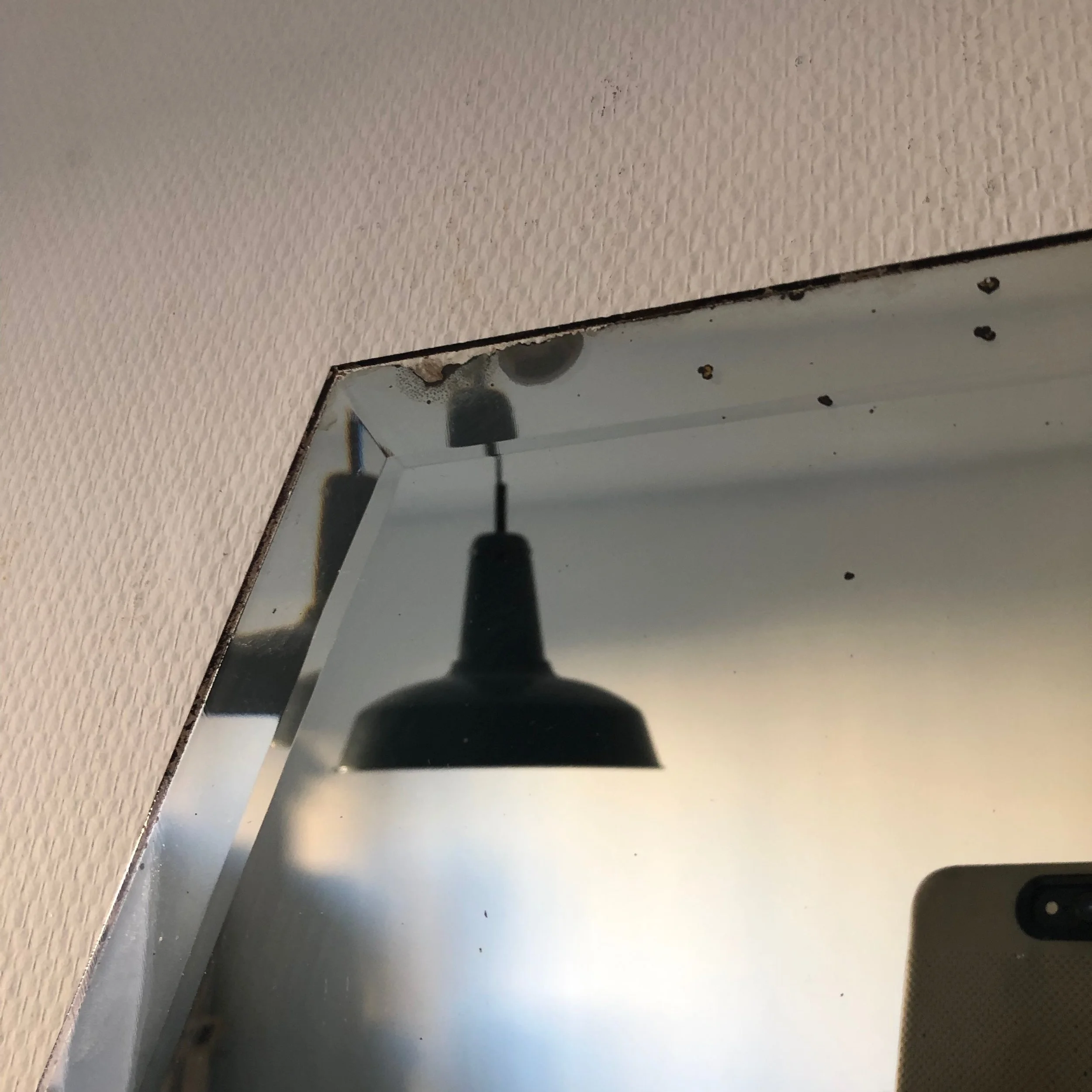 IMG_3603.jpeg