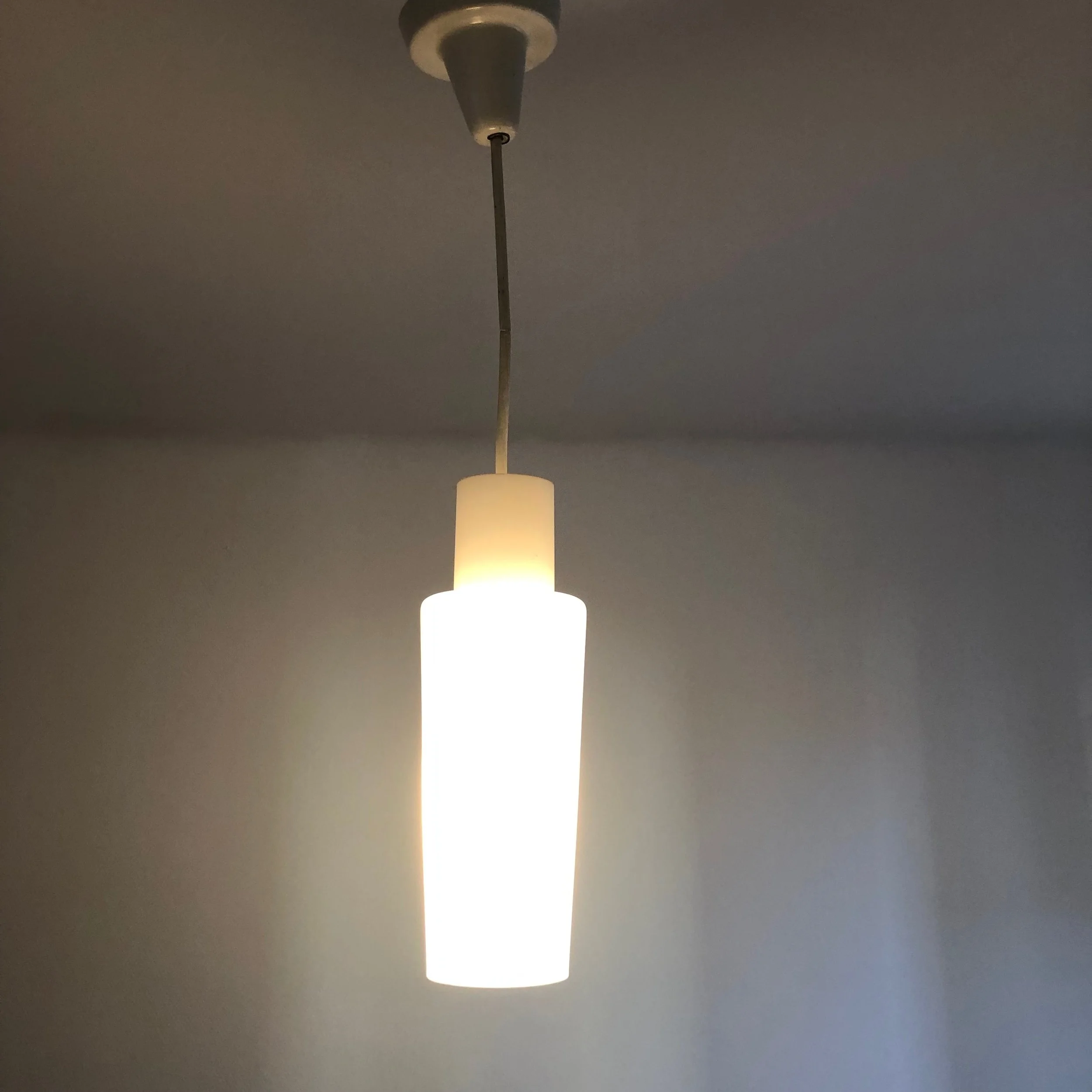 IMG_3725.jpeg