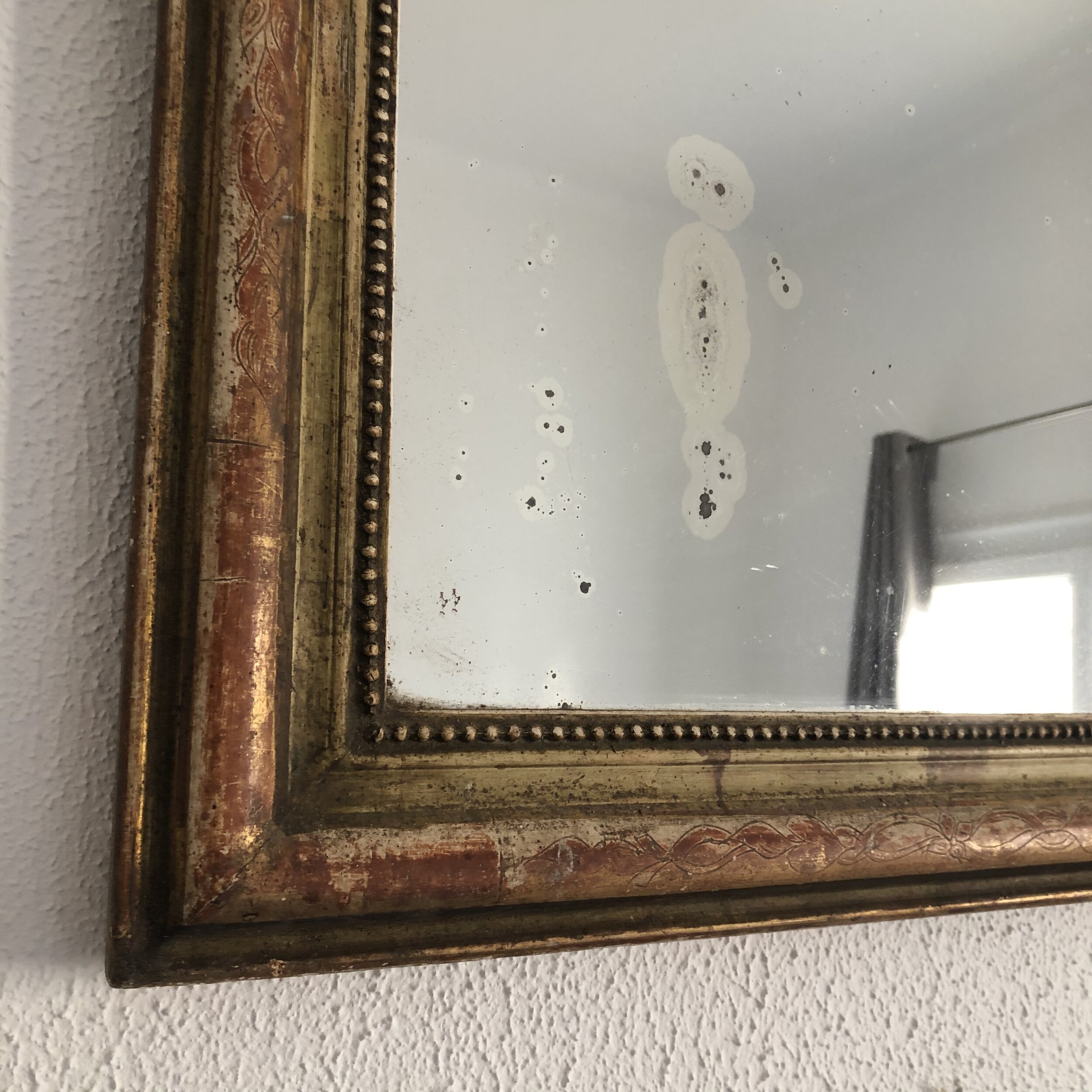 IMG_8908.jpeg