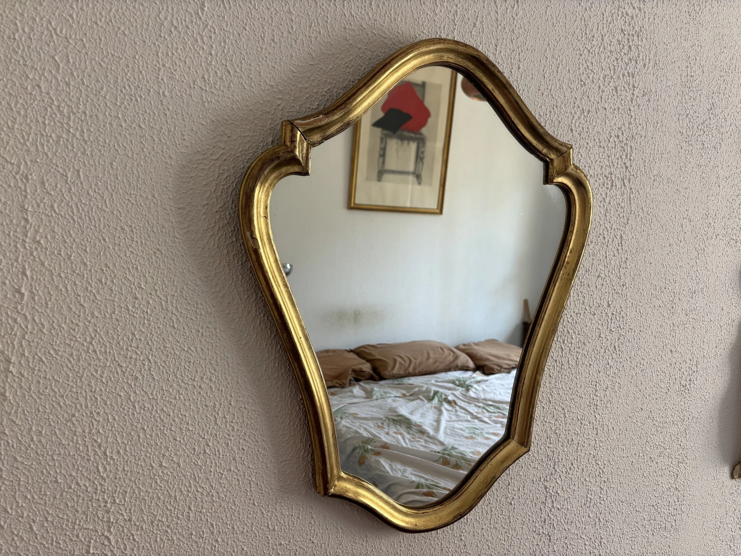 IMG_6320.jpeg