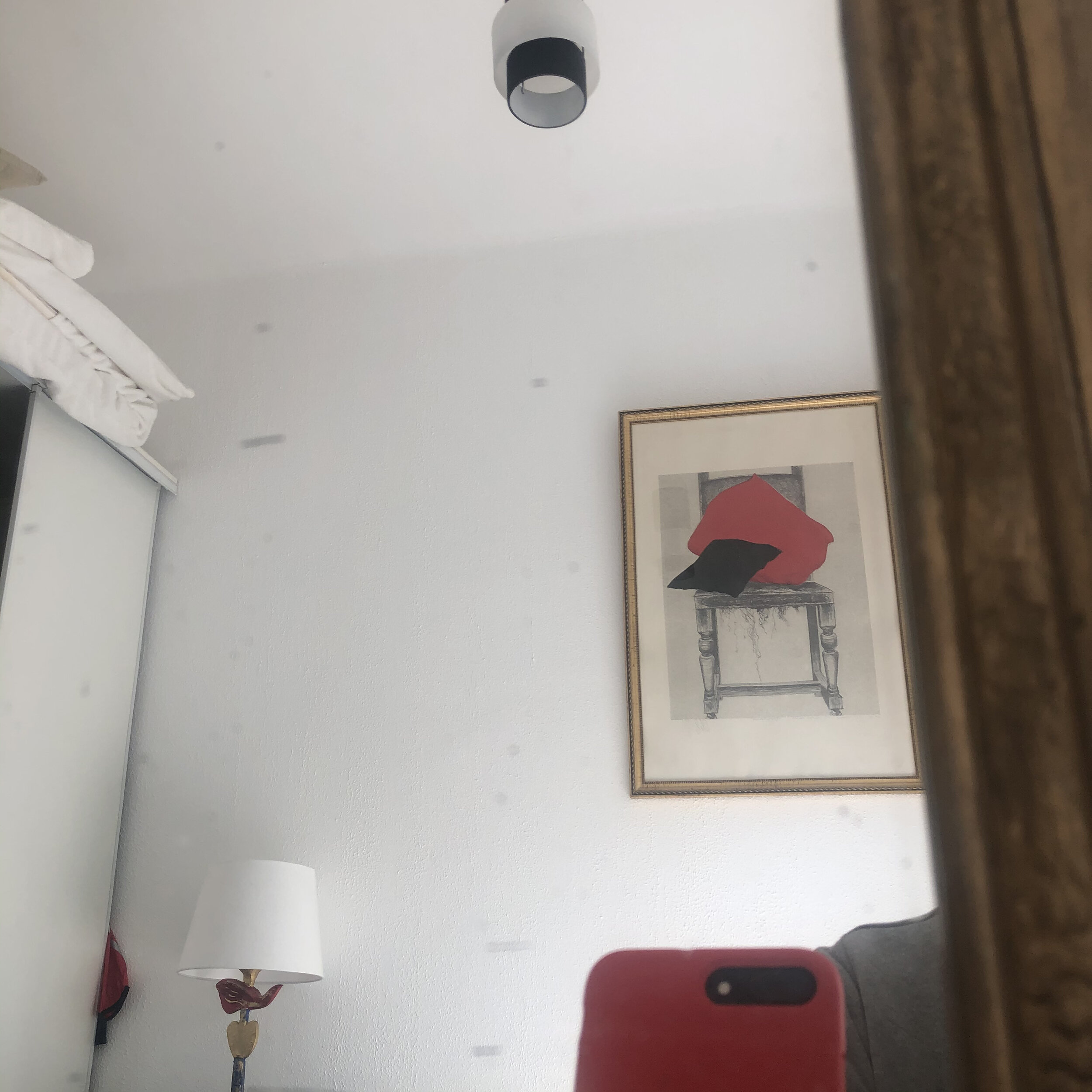 IMG_6541.jpeg