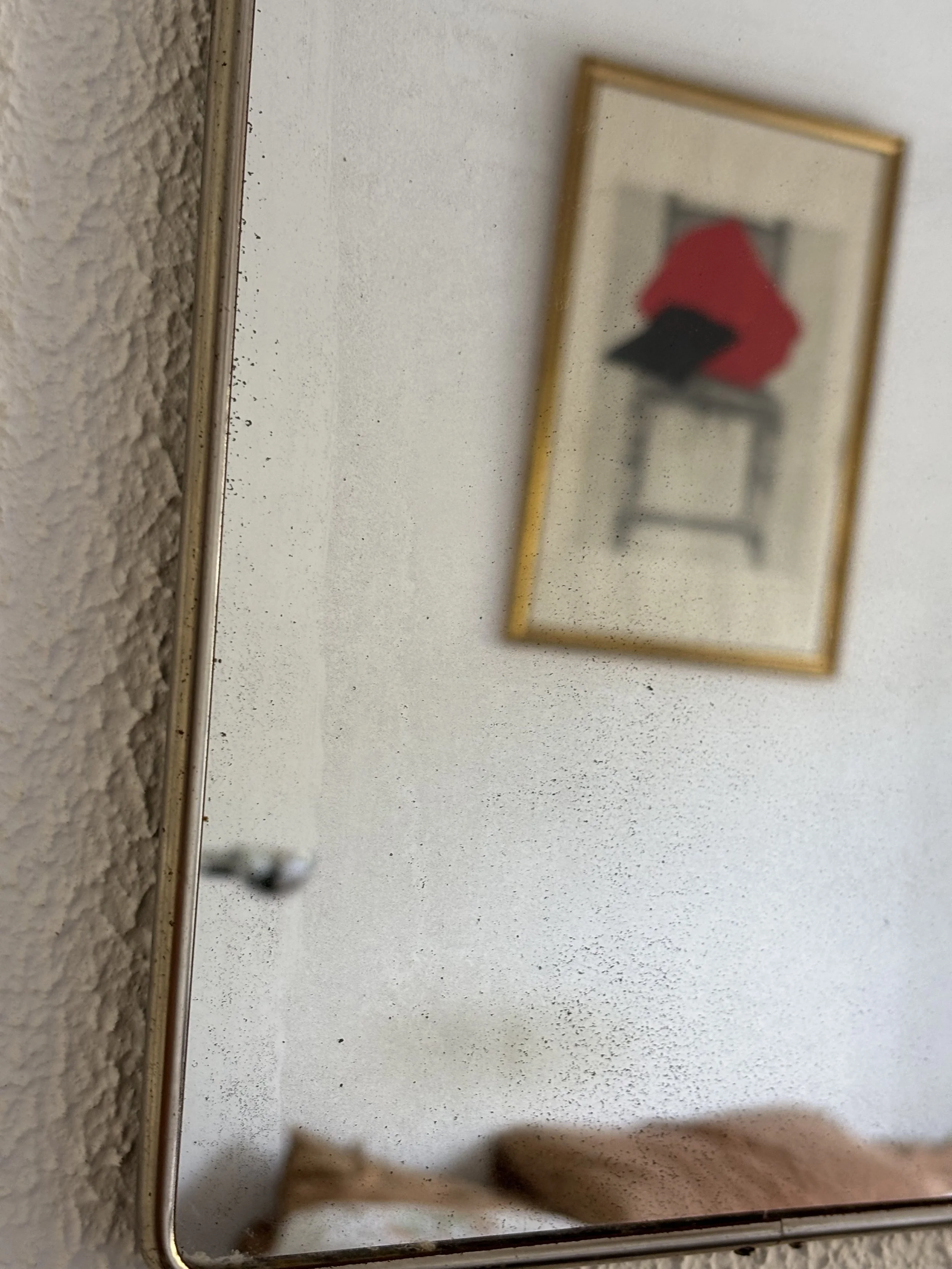 IMG_5394.jpeg