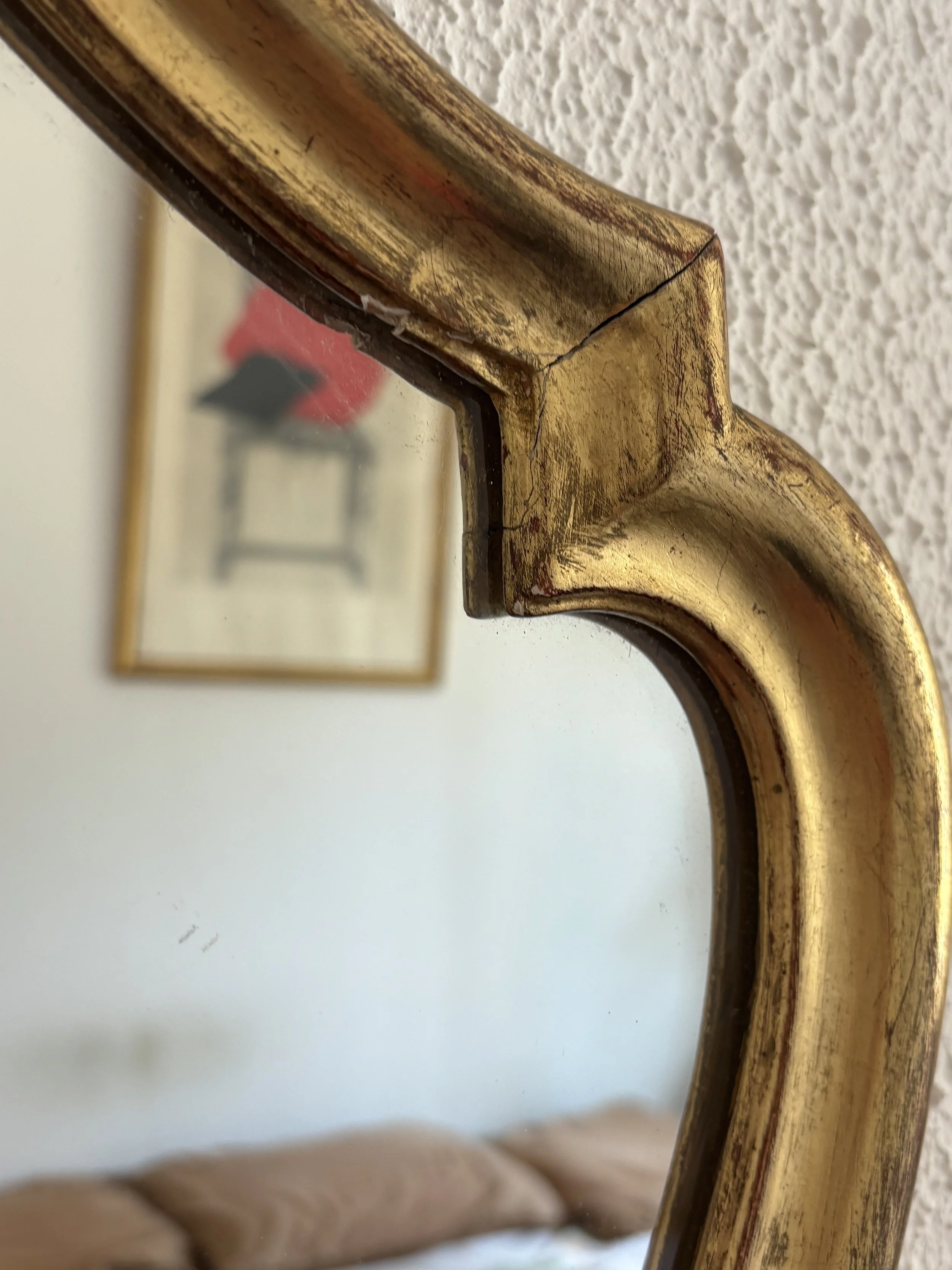 IMG_6334.jpeg
