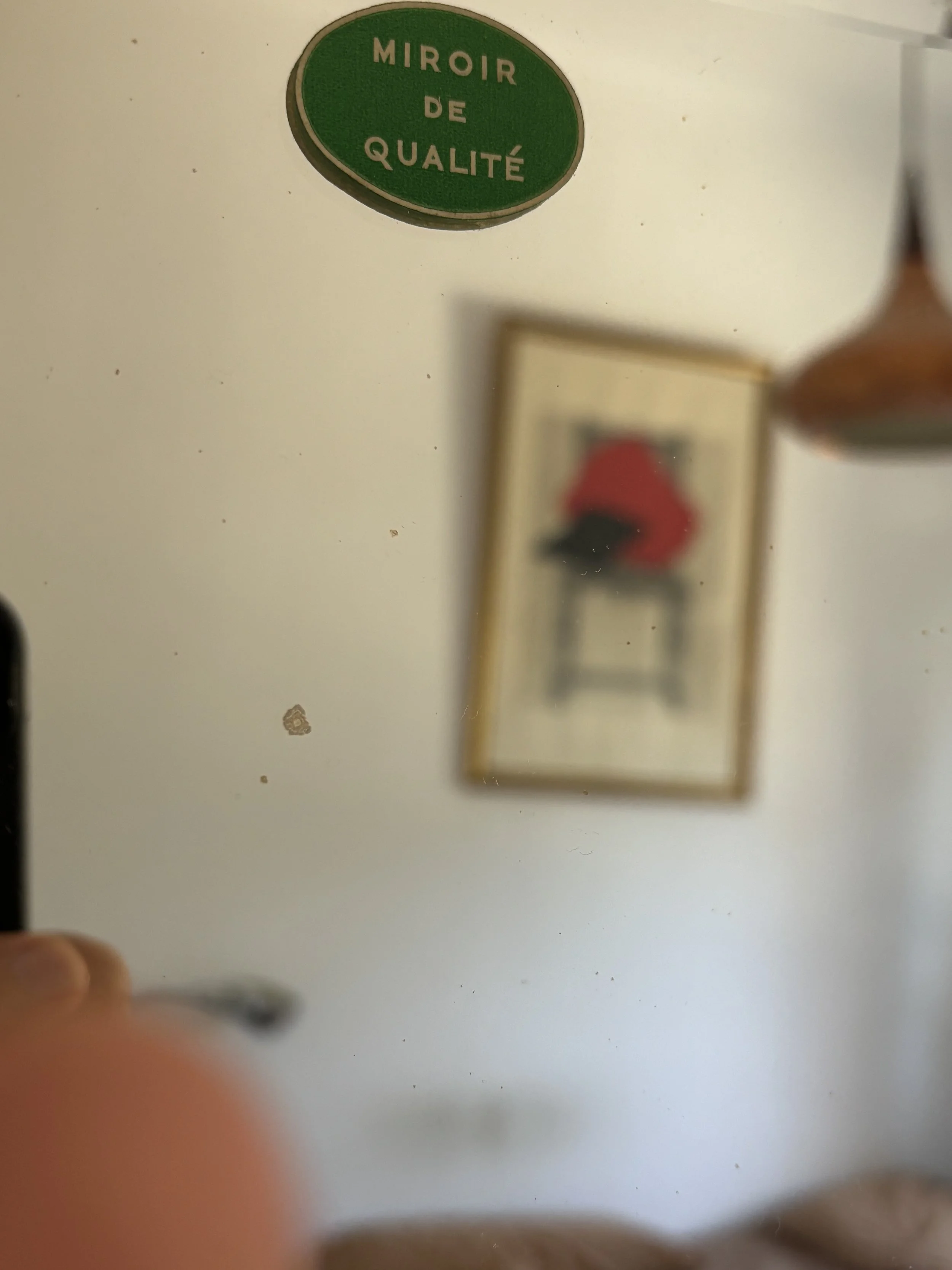 IMG_6680.jpeg