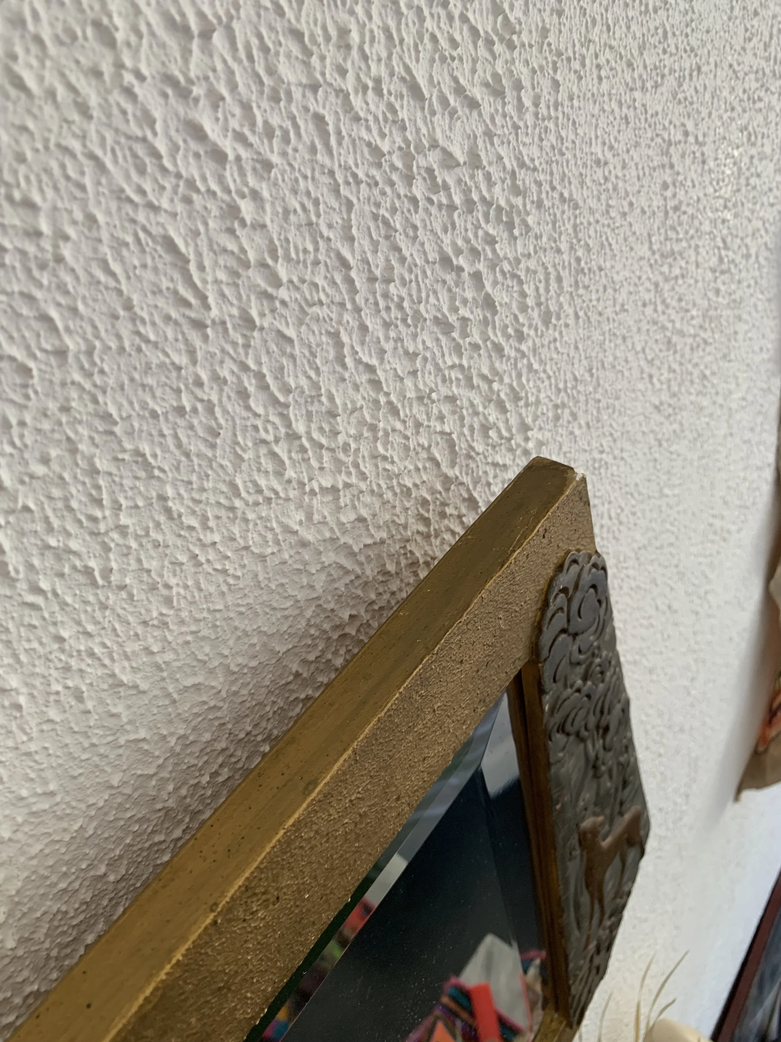 IMG_1355.jpeg