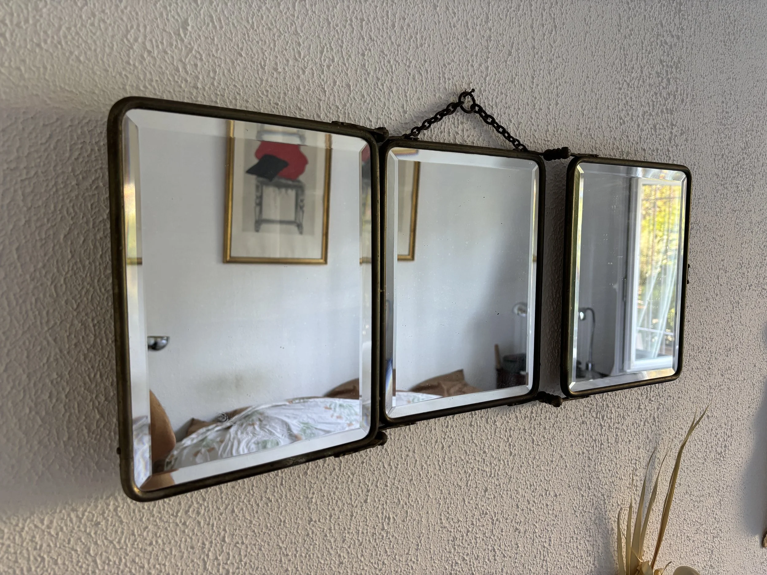 IMG_5233.jpeg