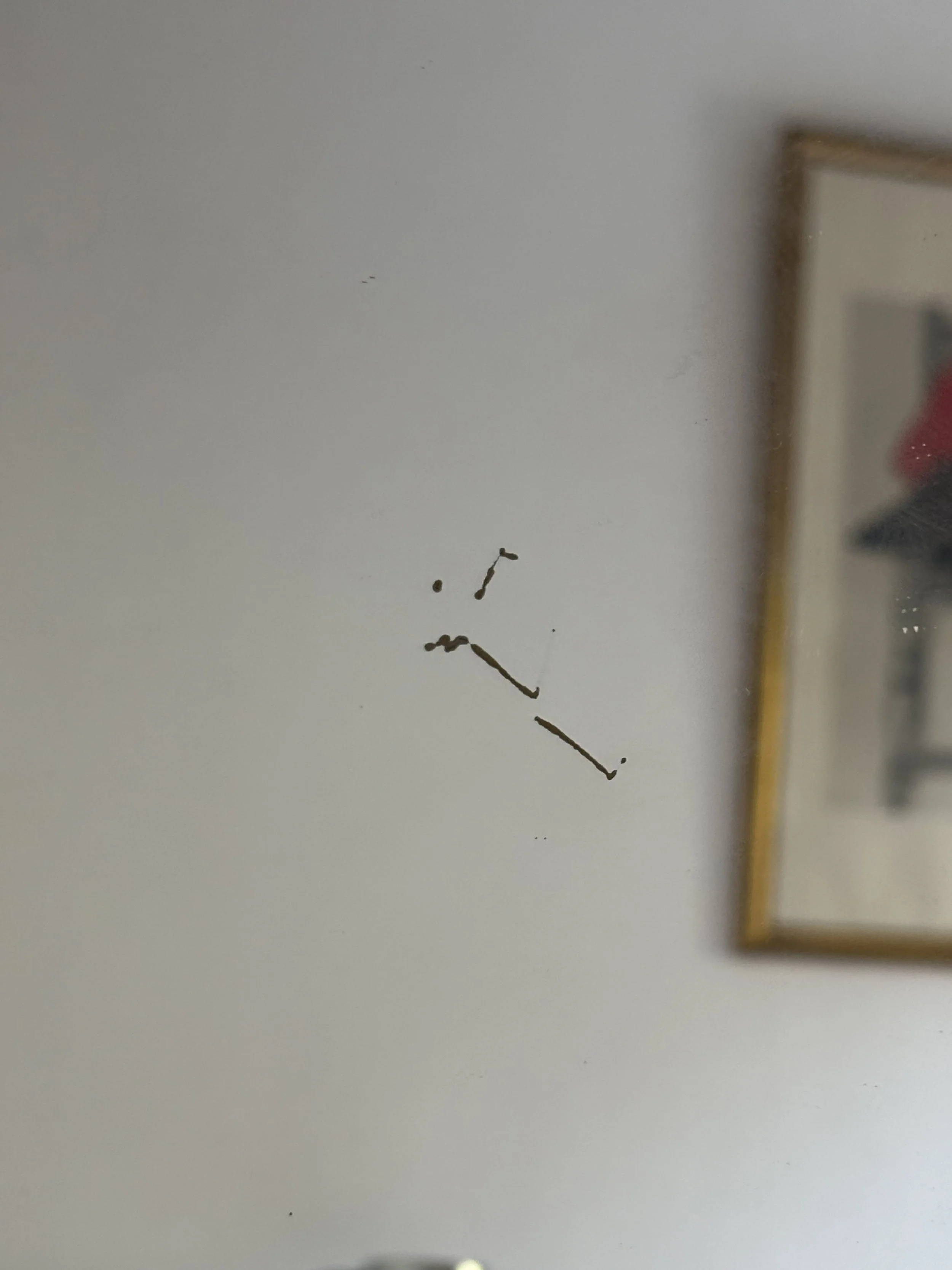 IMG_5118.jpeg