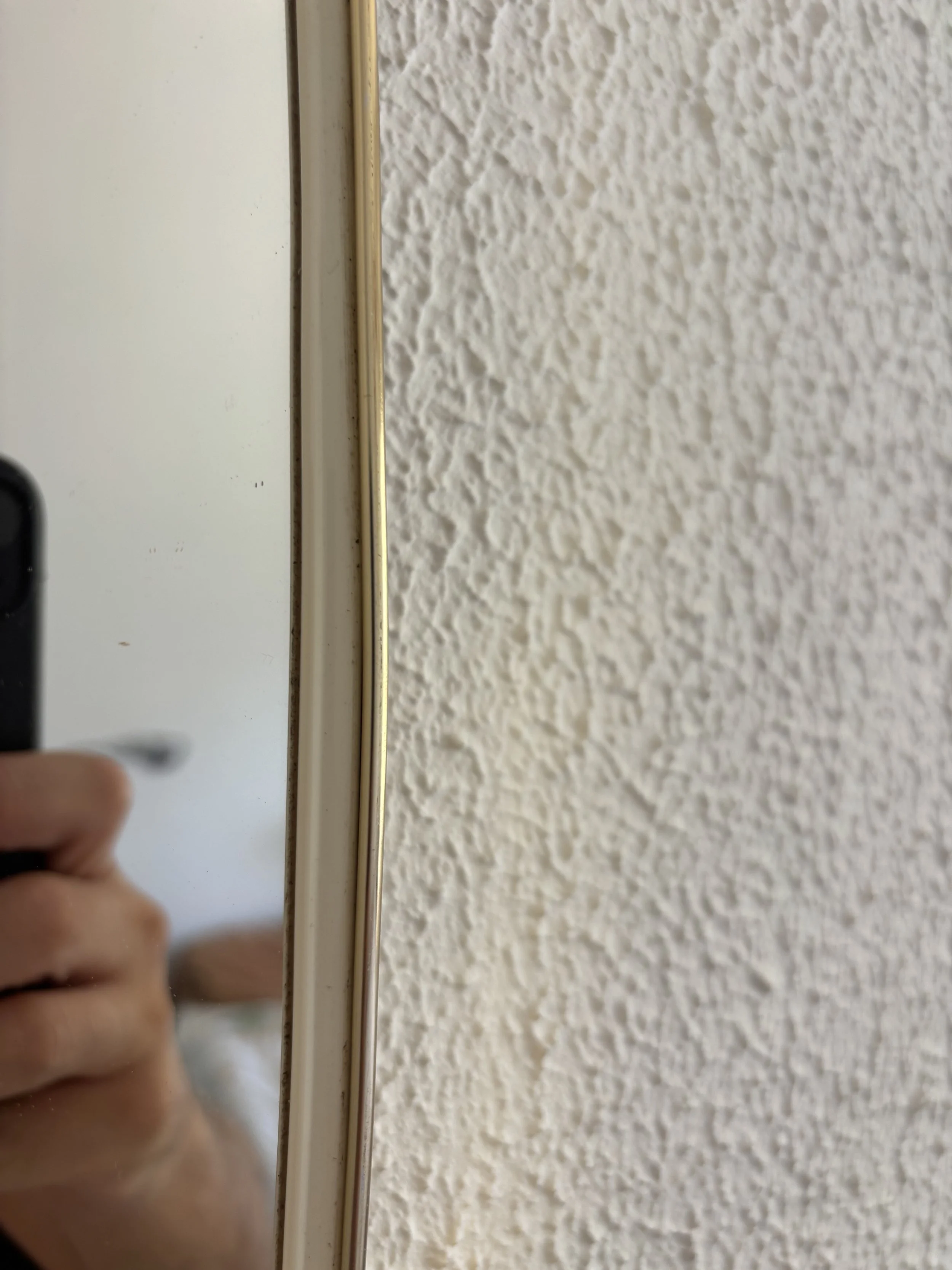 IMG_5953.jpeg