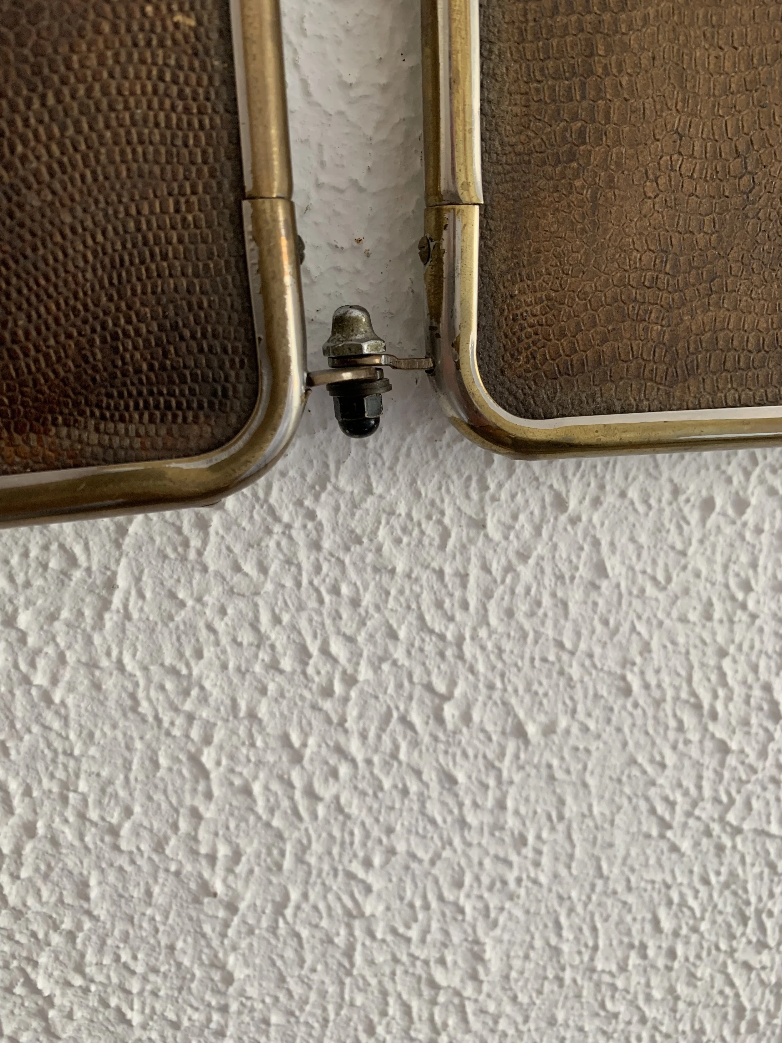 IMG_1273.jpeg